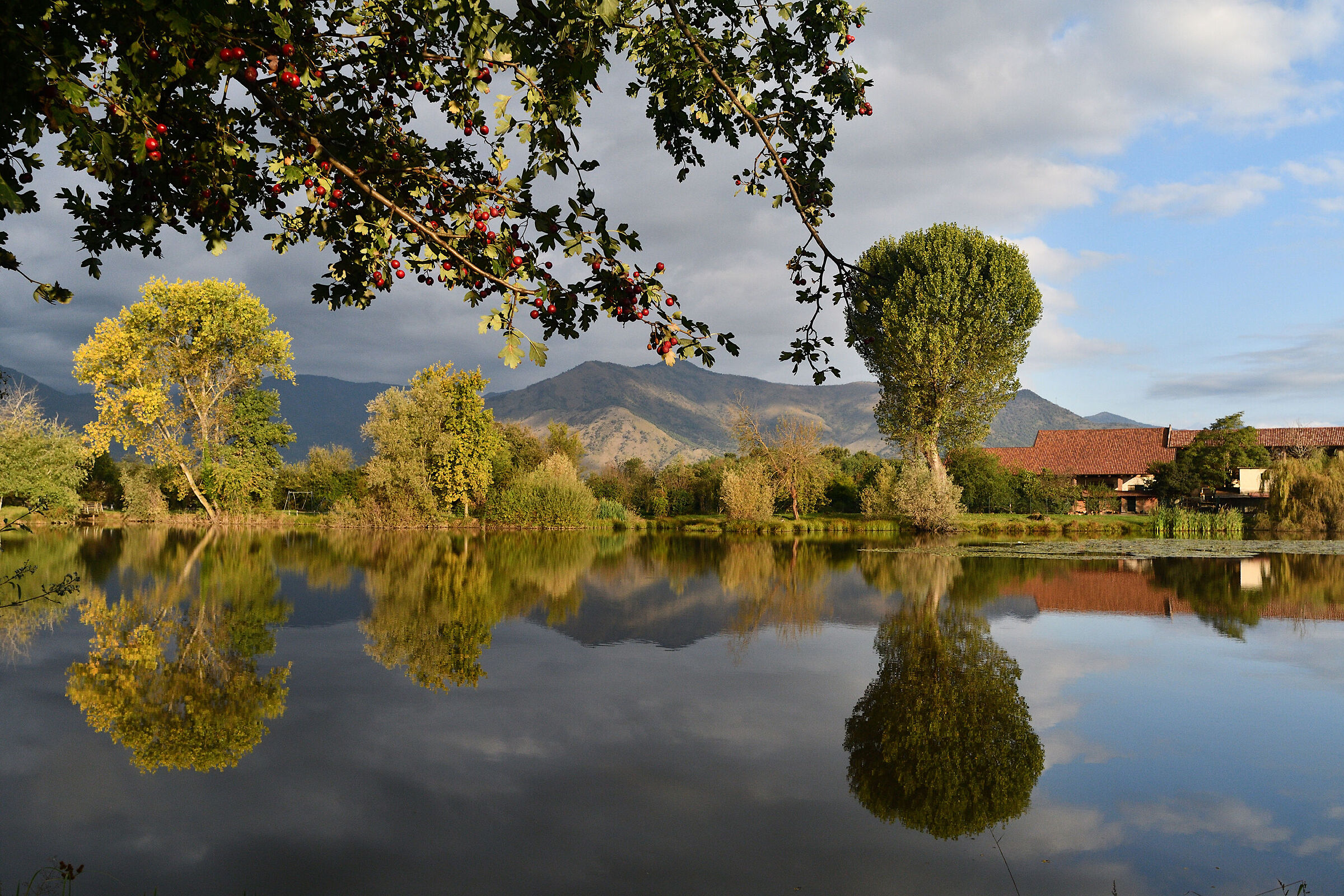 The lake and the berries