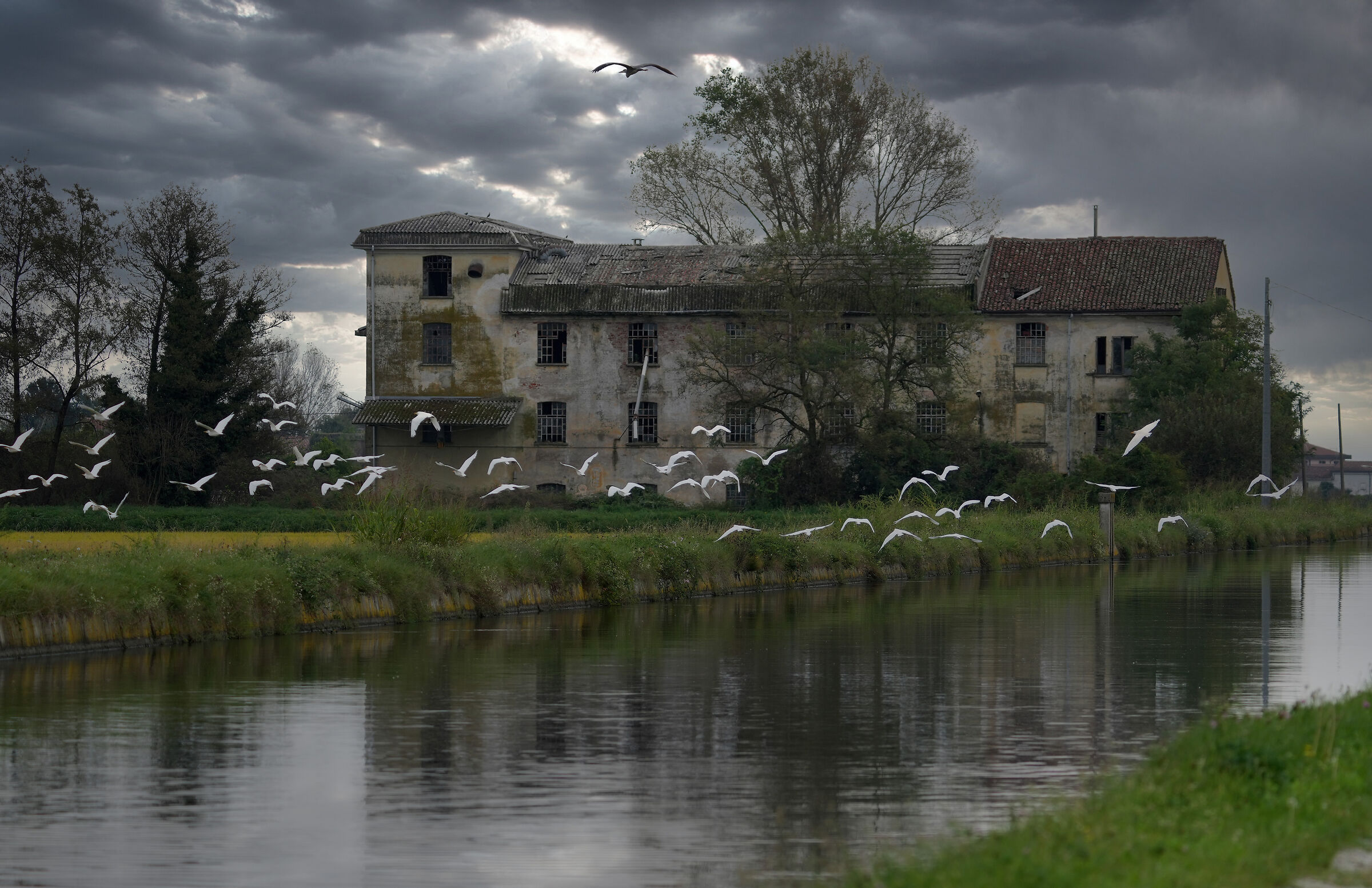 canale Terdobbio (No)