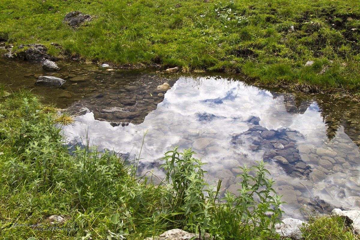 Reflections in Val Brenta