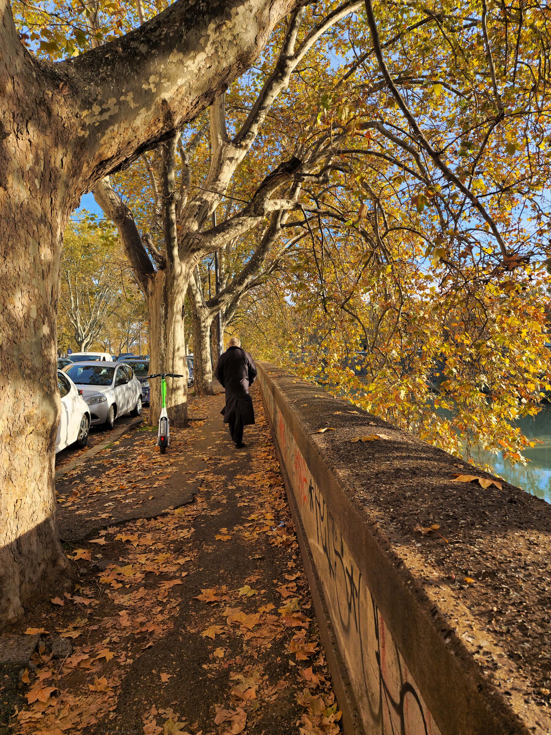 Passeggiata sul Lungotevere