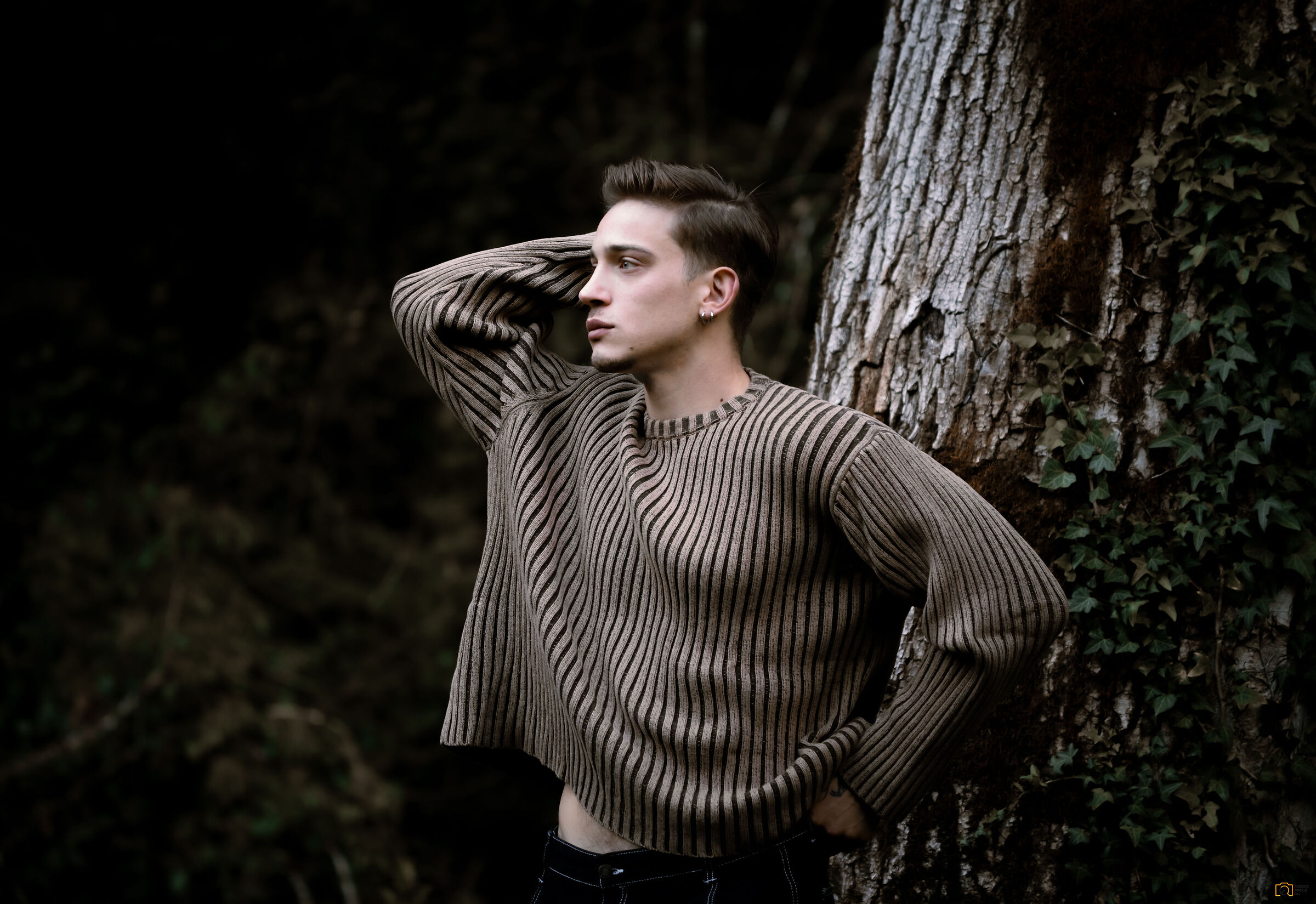 Autumn under cold light