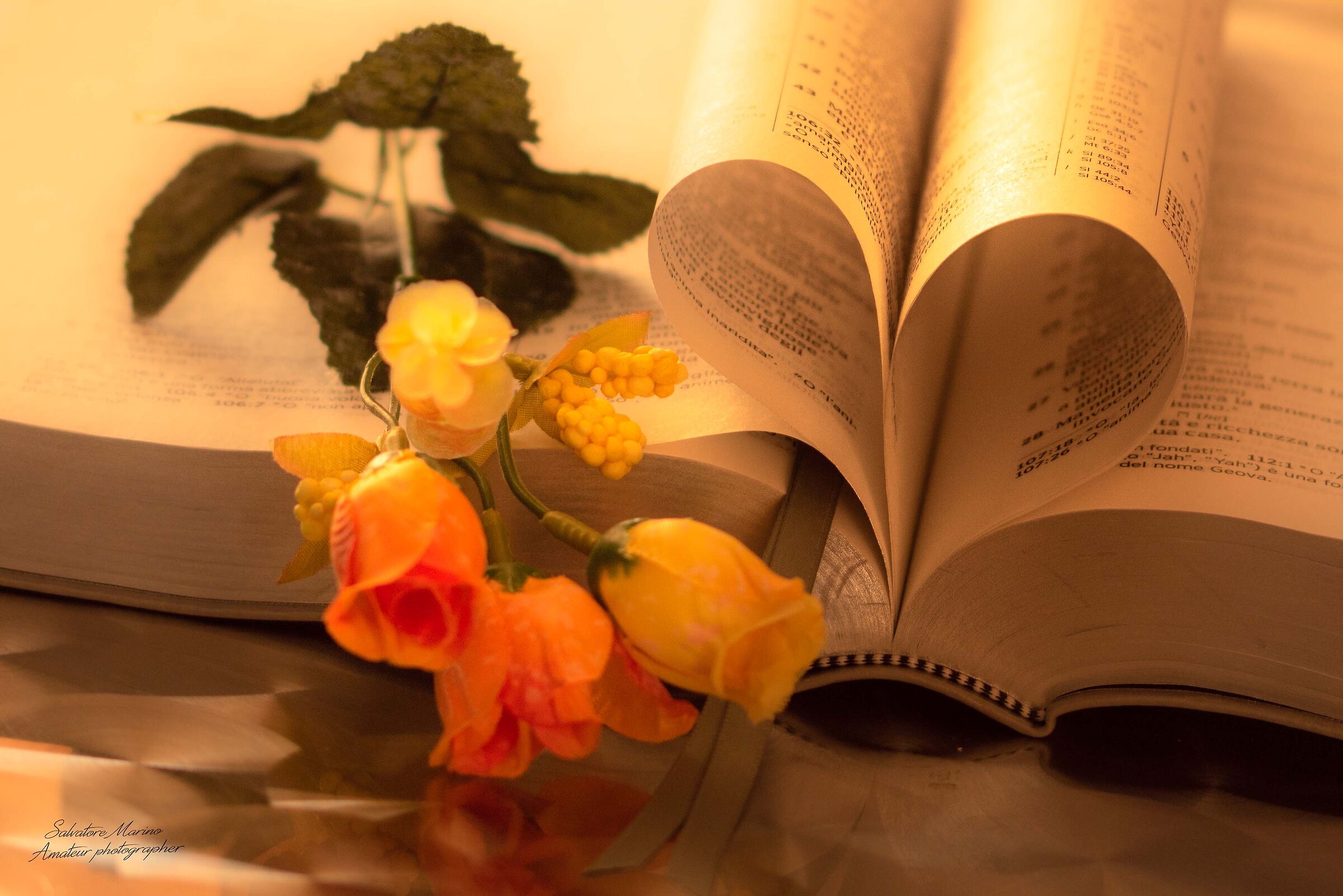 Il cuore nelle pagine della Bibbia