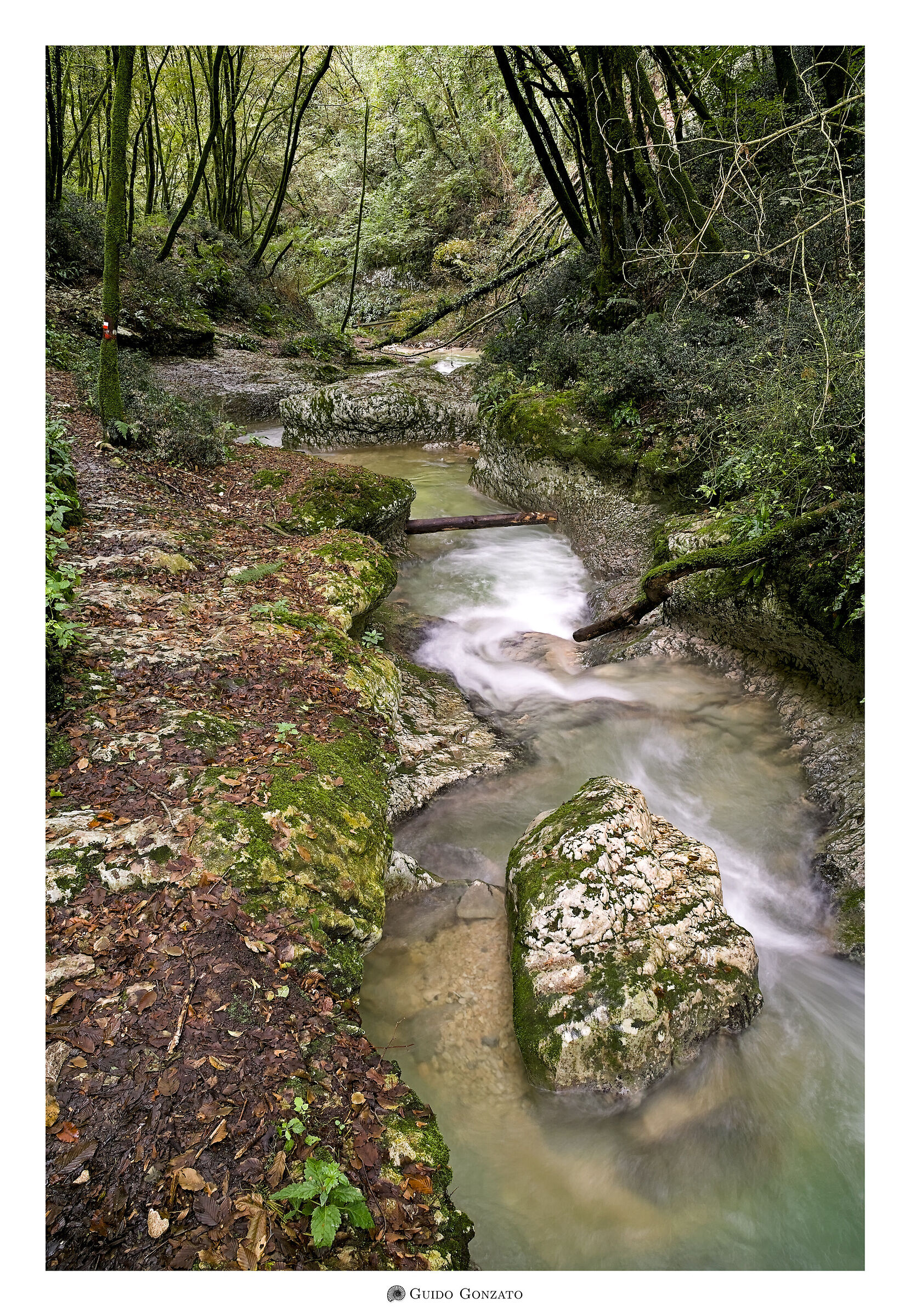 Rocce, acqua e verde