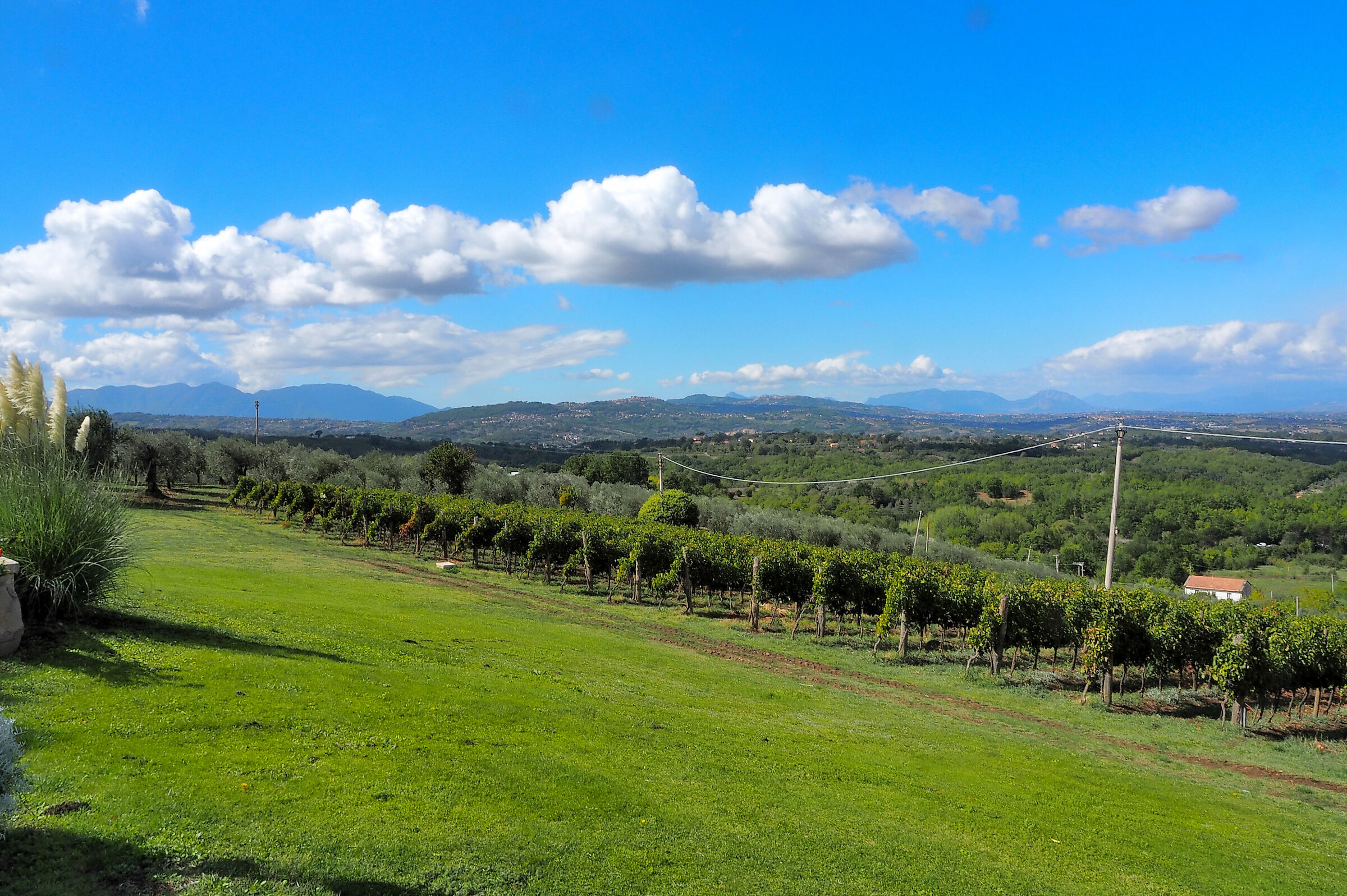 Cavalier Pepe Winery