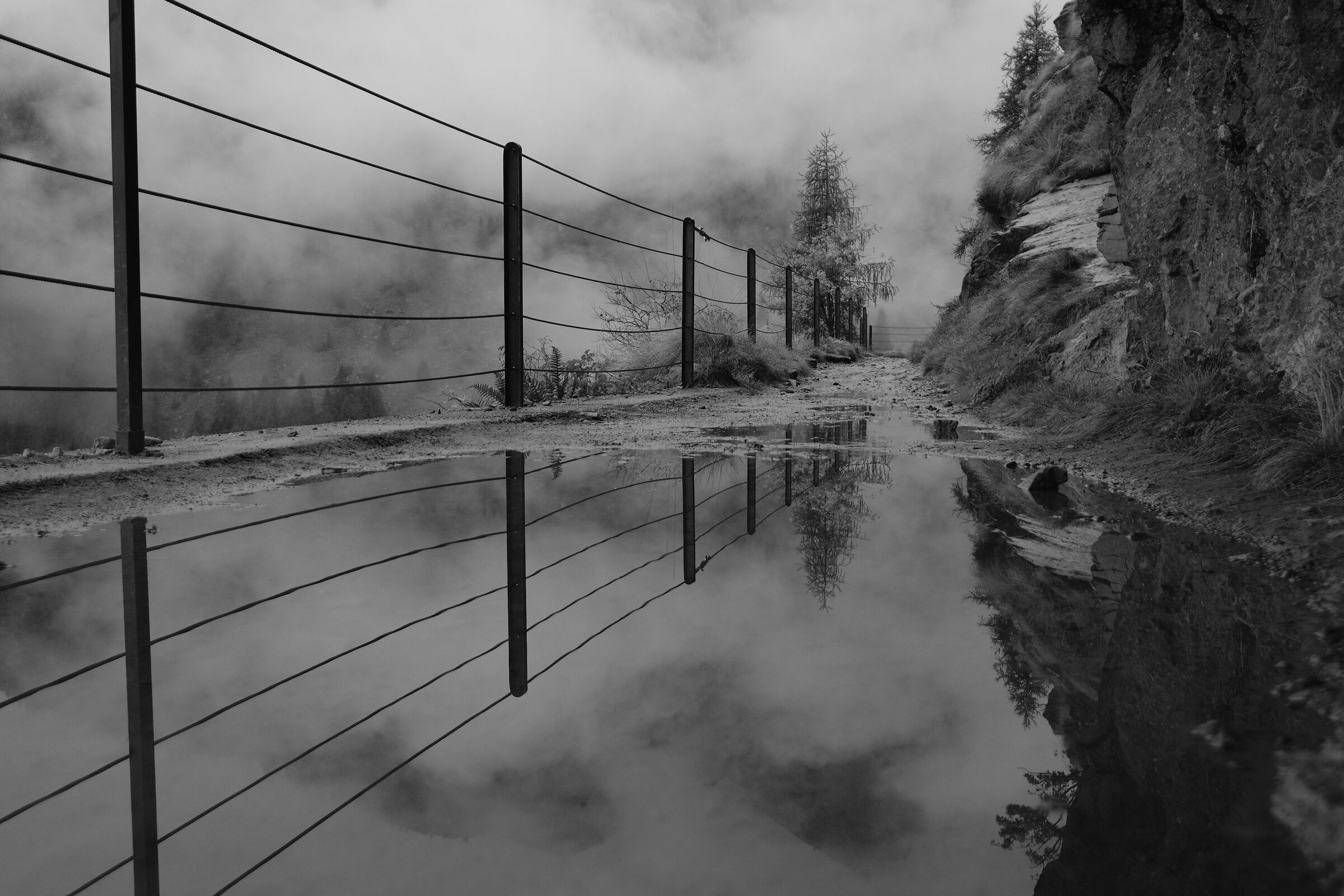 Riflessi lungo il sentiero