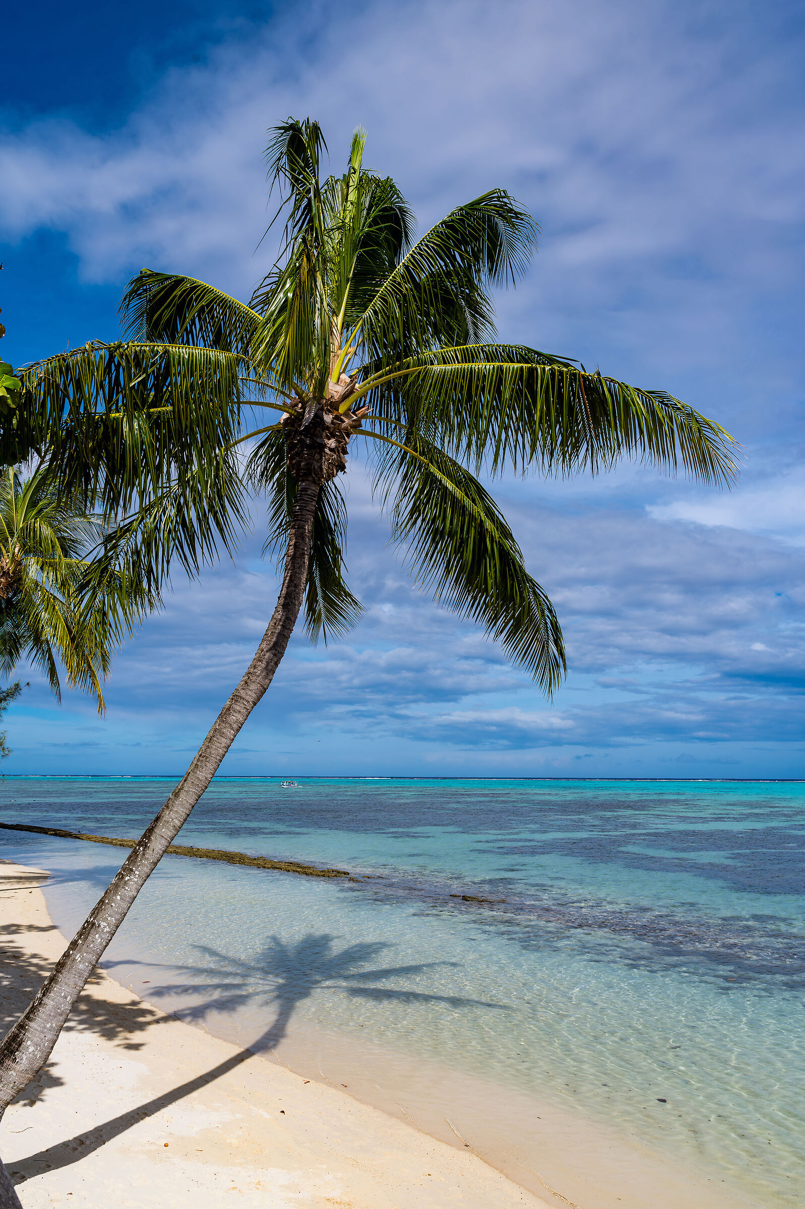 Polinesia 2025 - Moorea