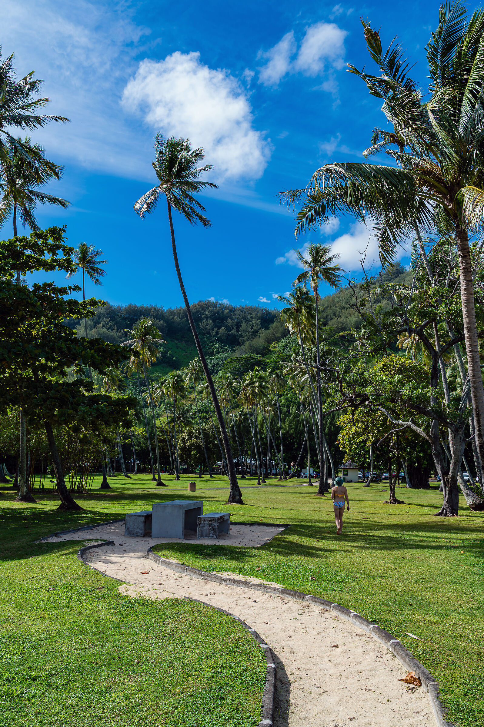 Polinesia 2025 - Moorea