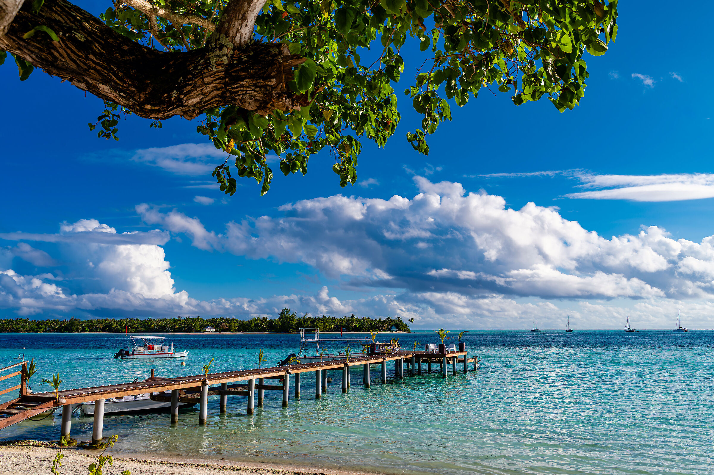 Polinesia 2025 - Maupiti