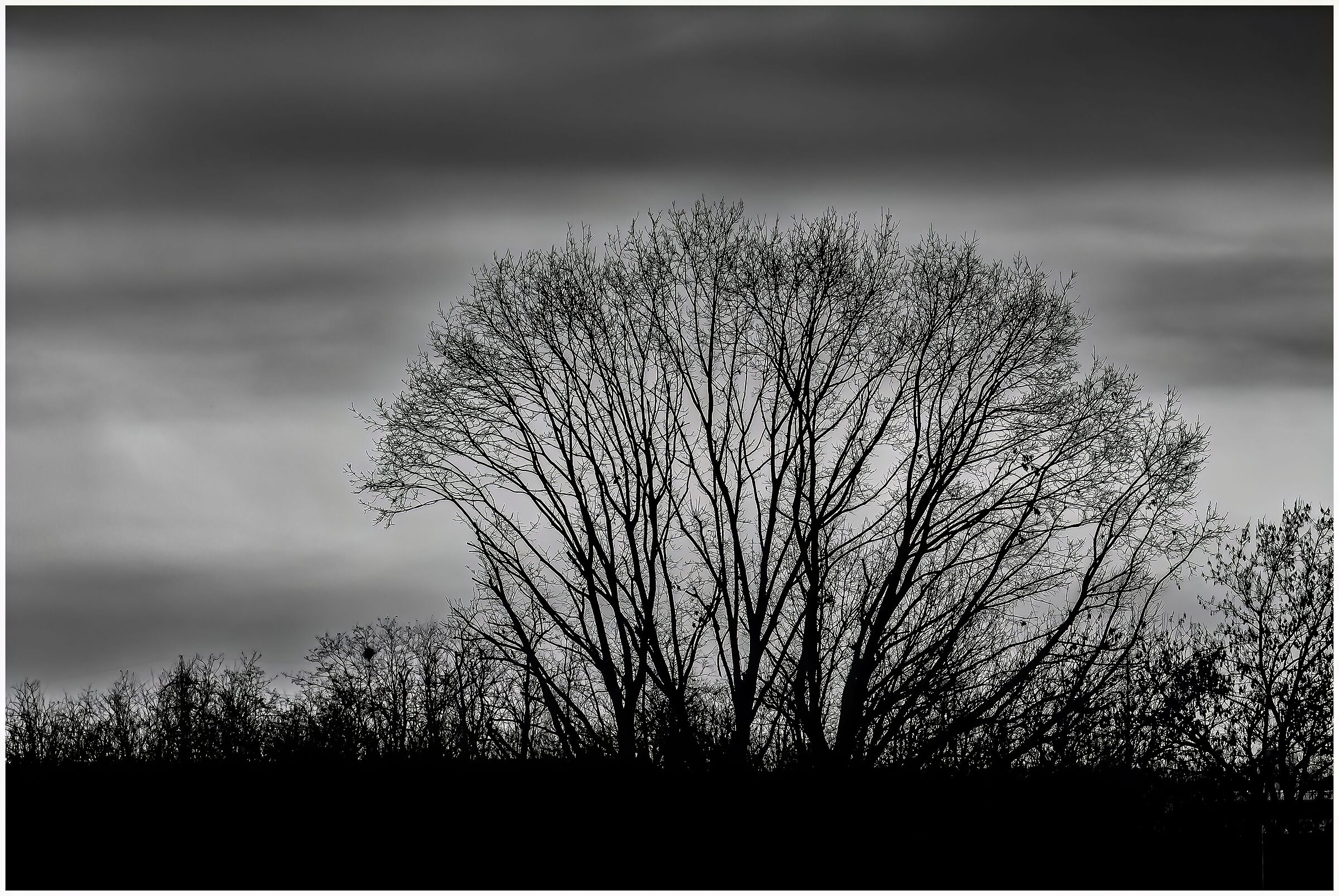 Mattinata in campagna
