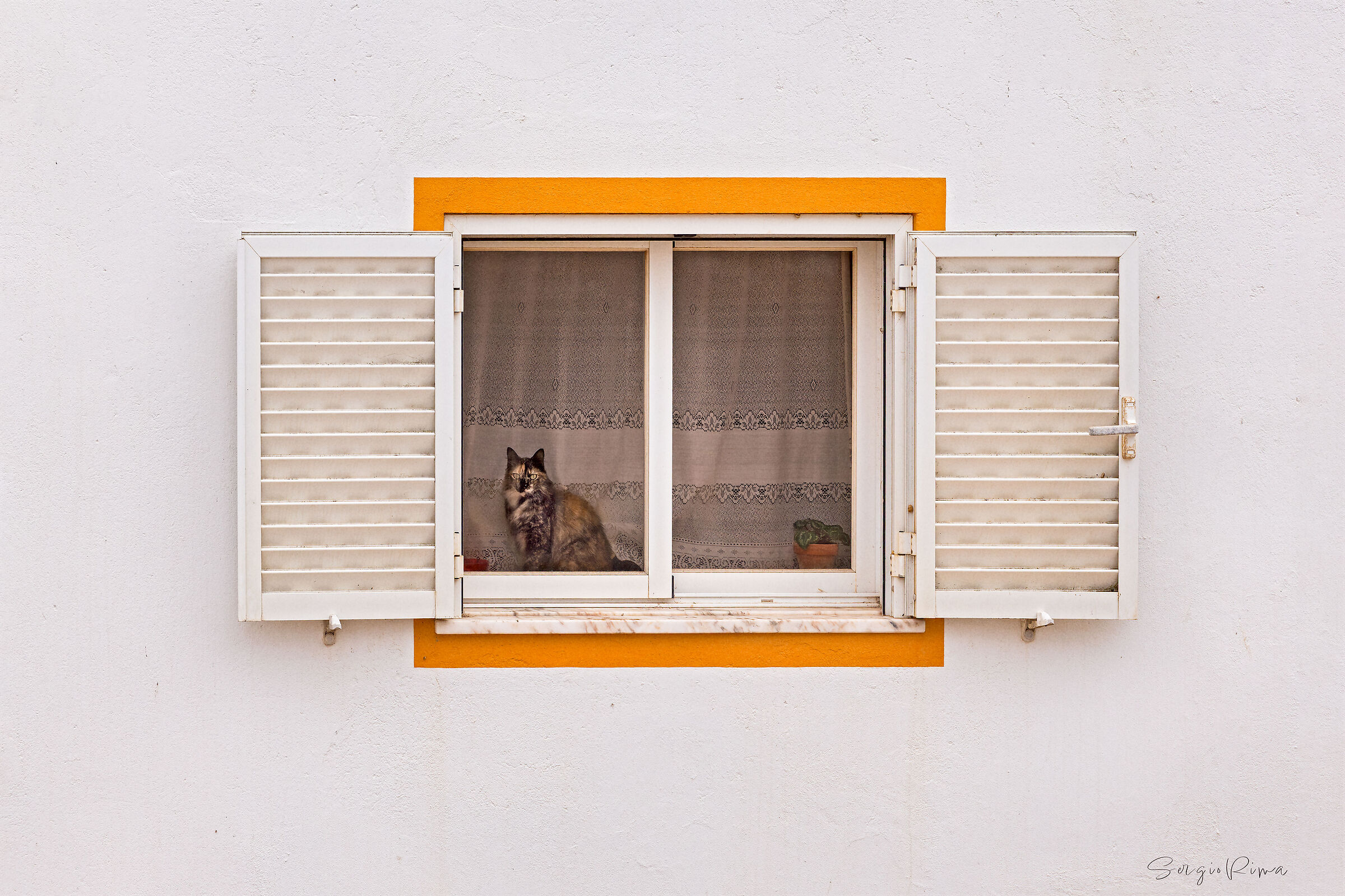 La finestra/1 - (Algarve)
