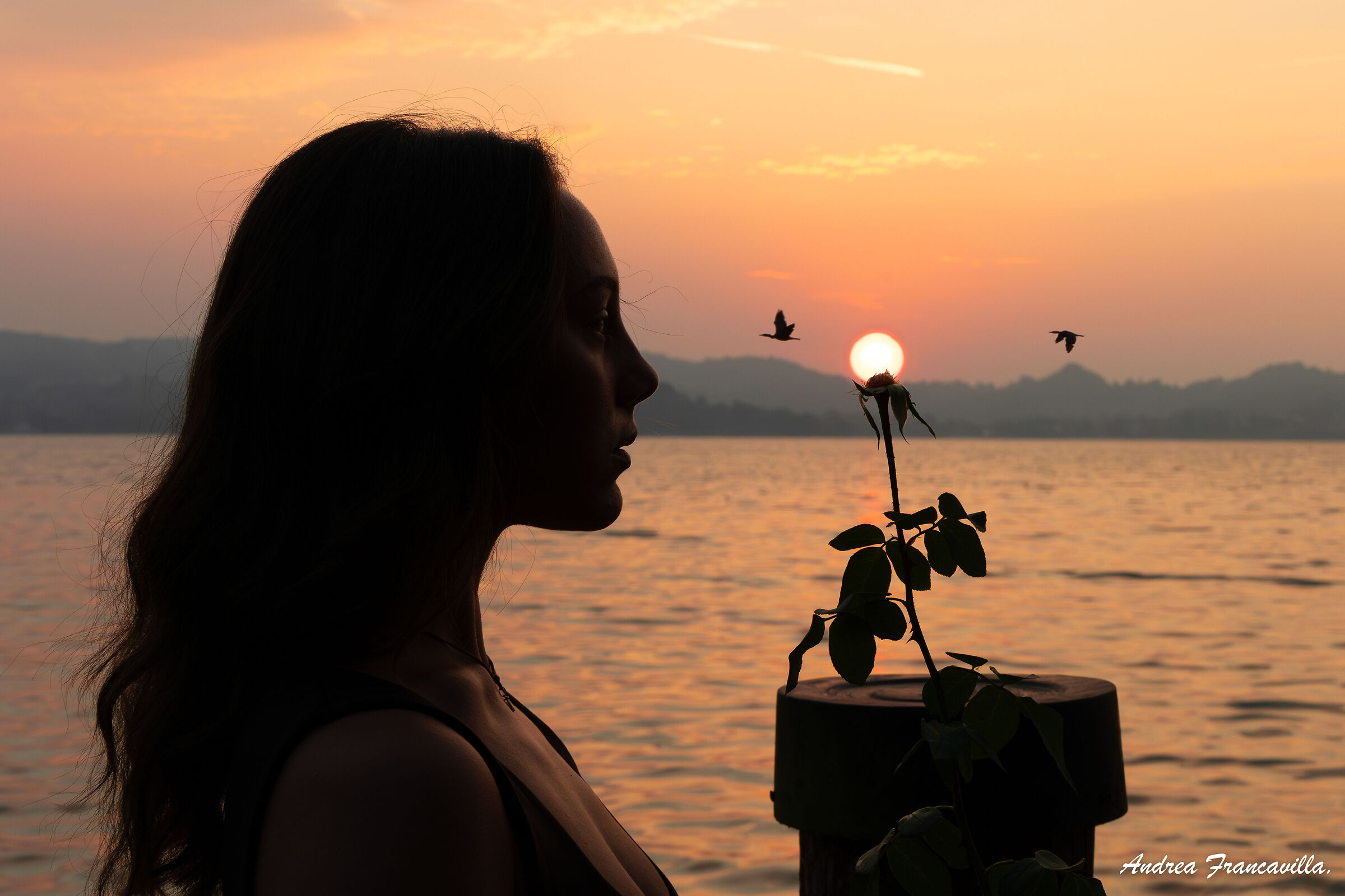 Sunrise over the lake