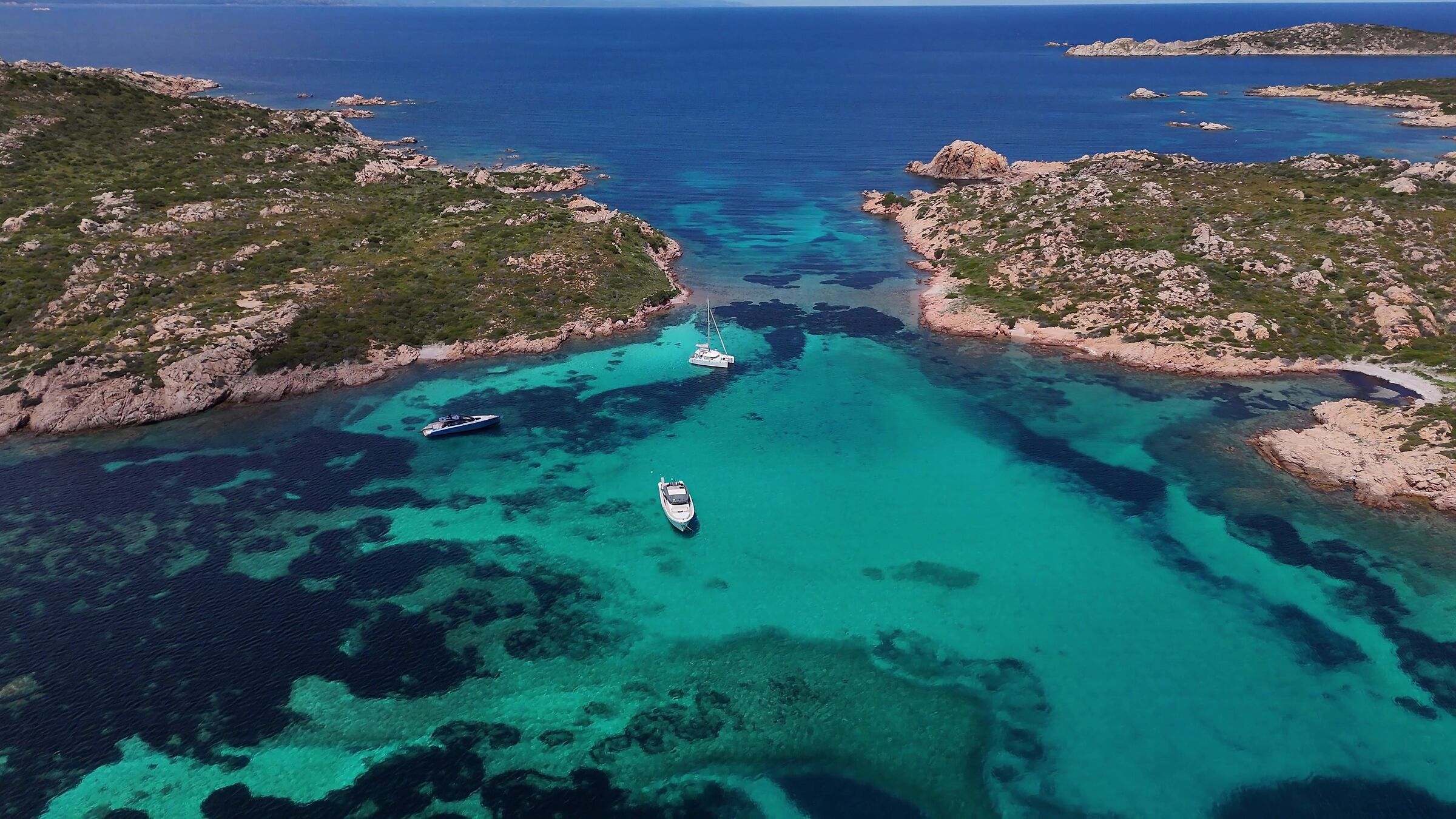 Mantle of the Madonna Maddalena Archipelago Sardinia