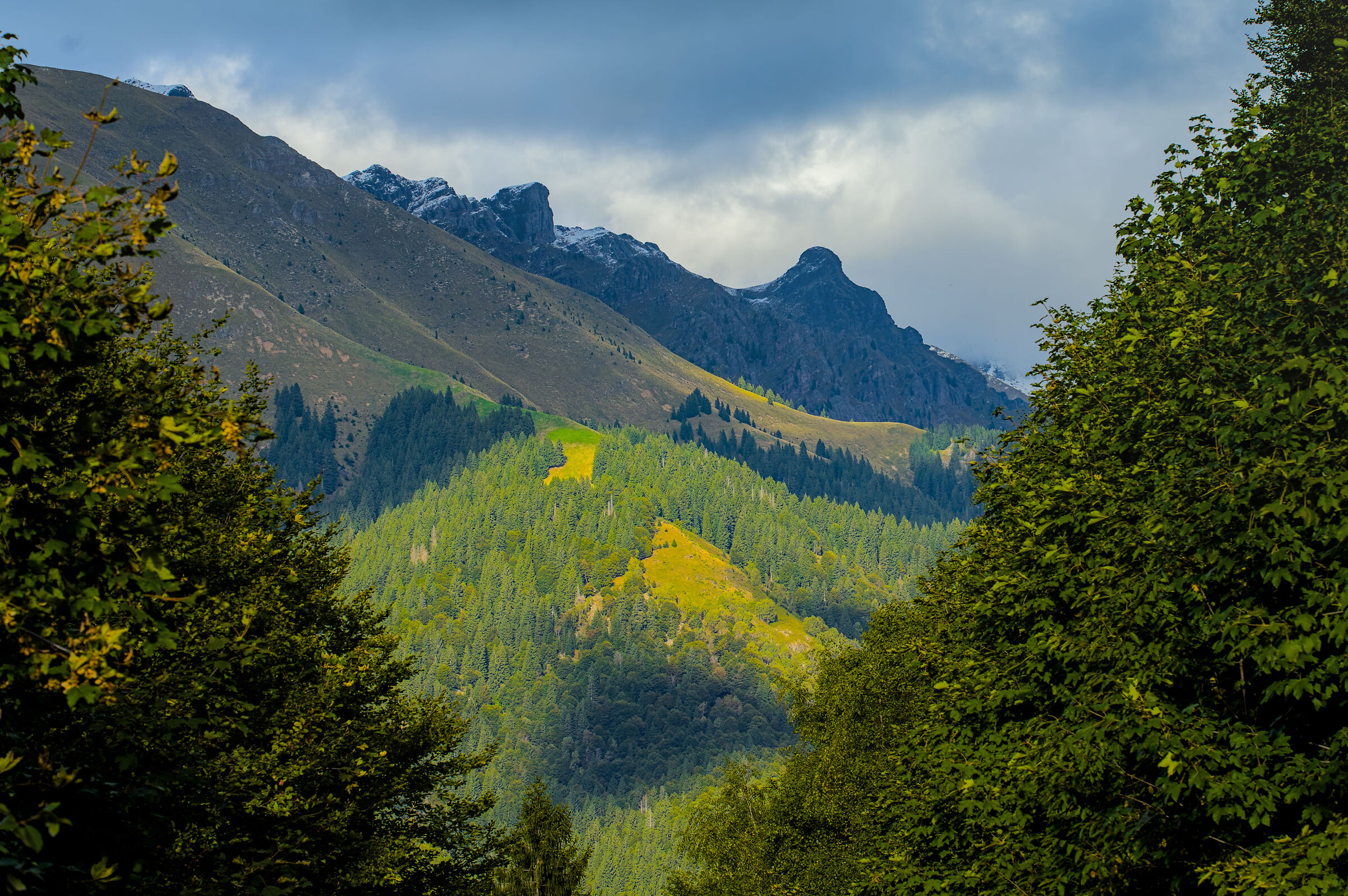 Between woods and clouds