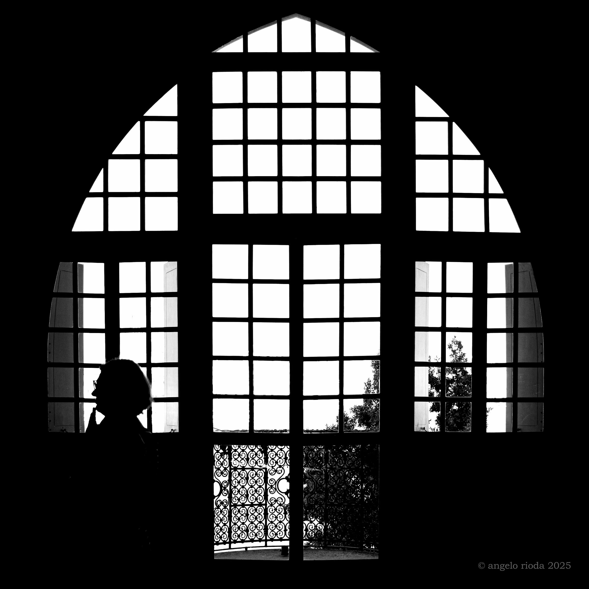 Window