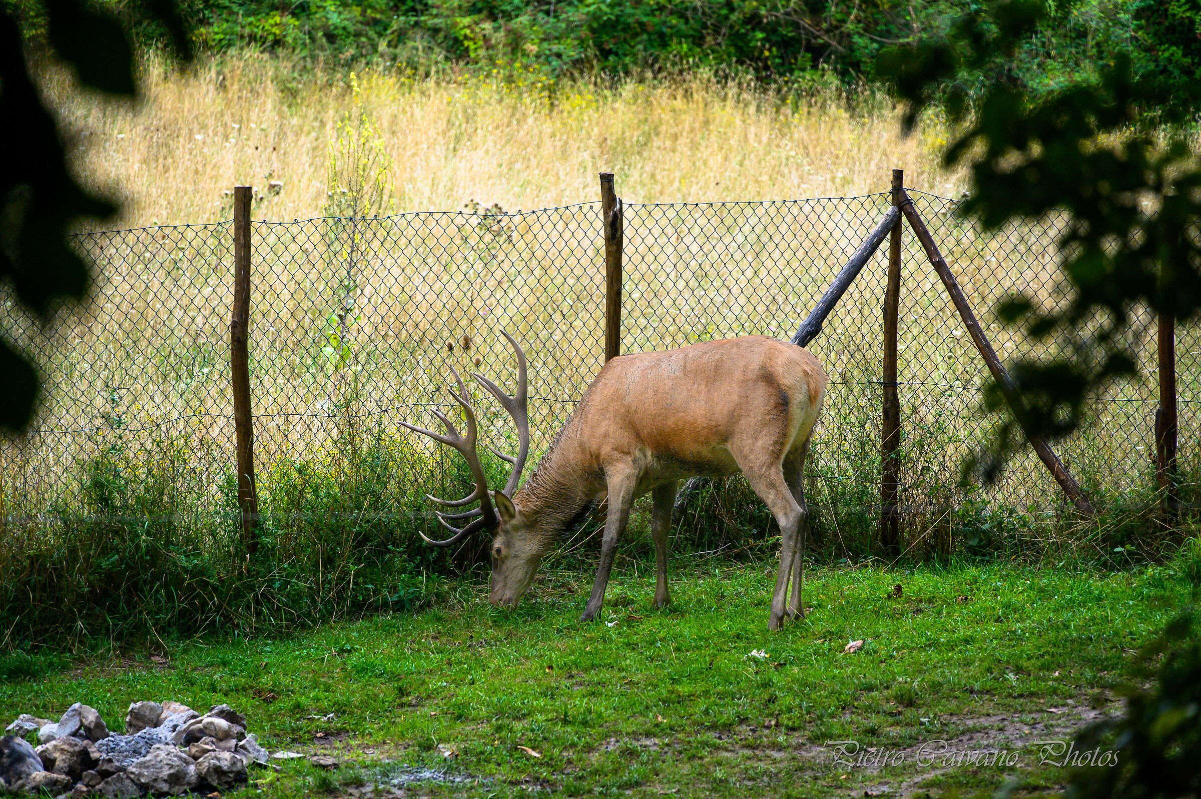 Unexpected encounter