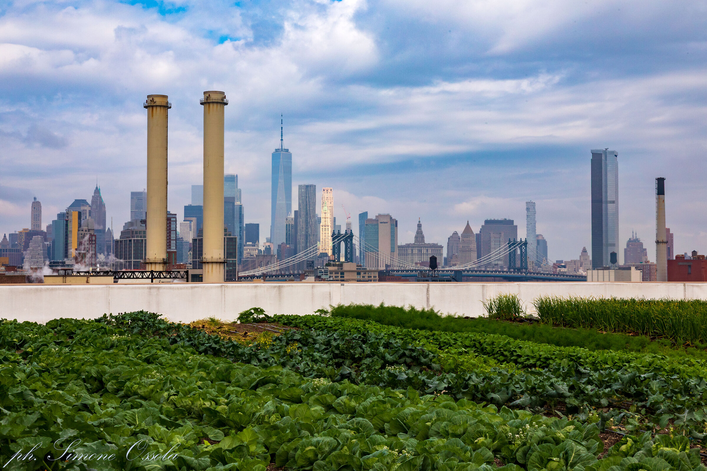 Dagli orti sospesi...New York