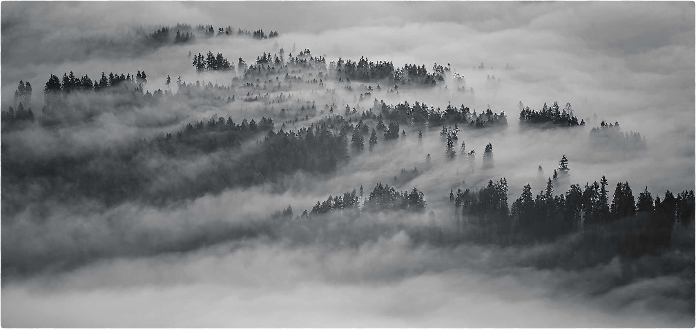 -nell'aria, tipica delle condizioni di alta umidit&agrav...