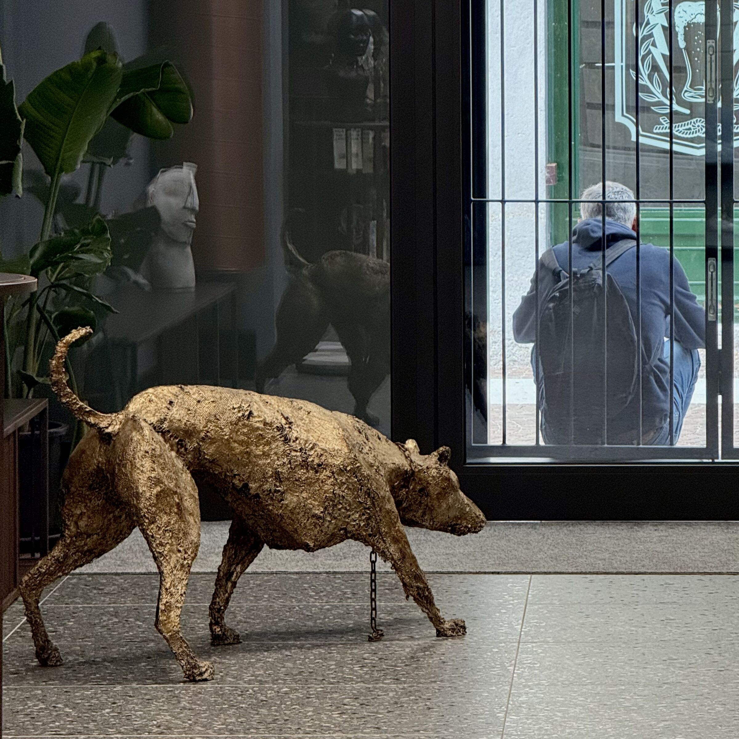 The dog is free, the man is in a cage