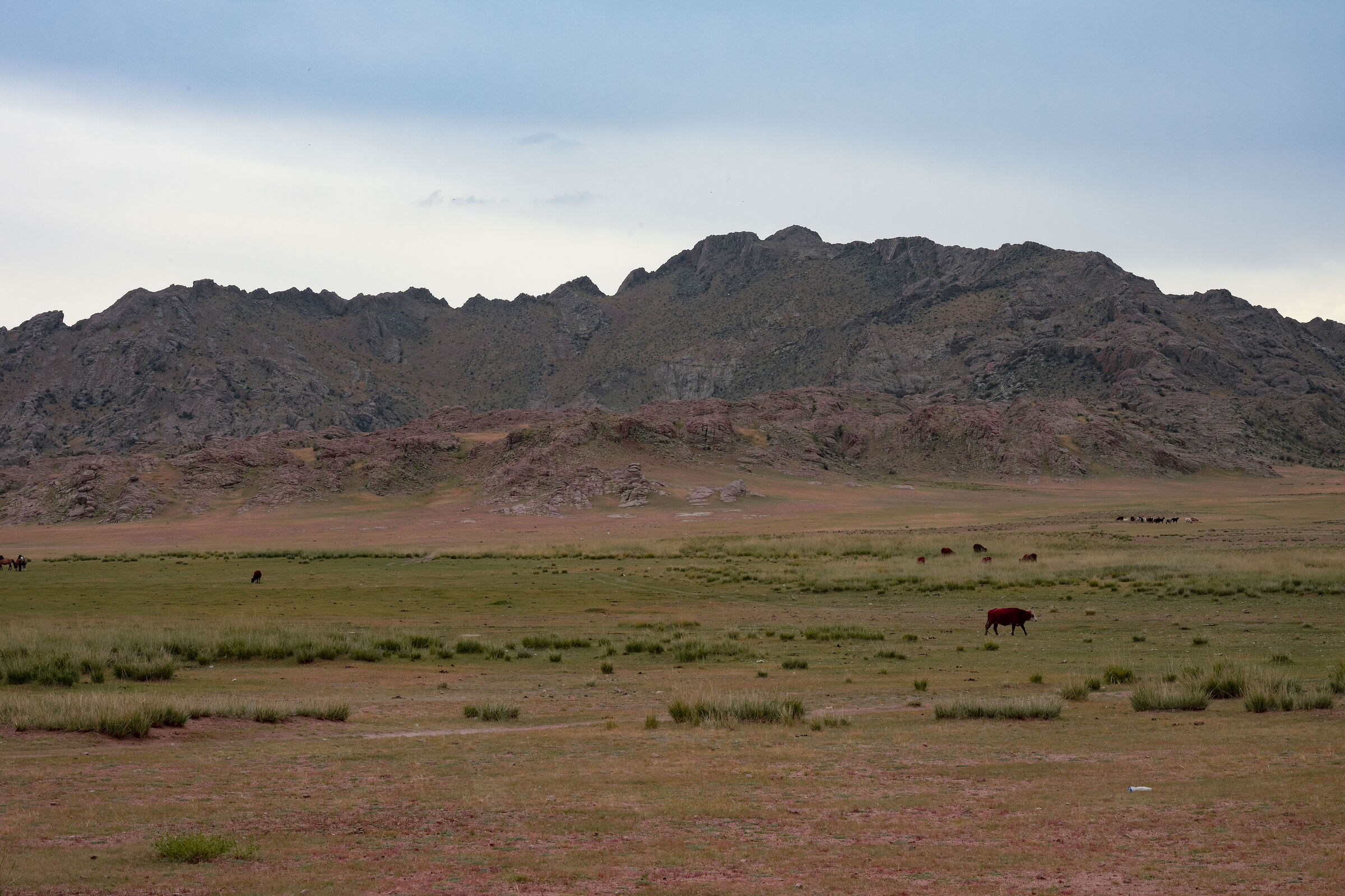 Gobi colors