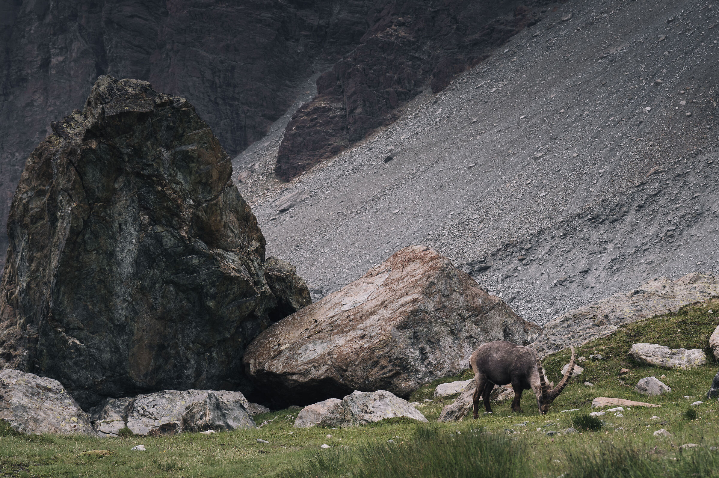 Lucio "Re del Mezzalama"