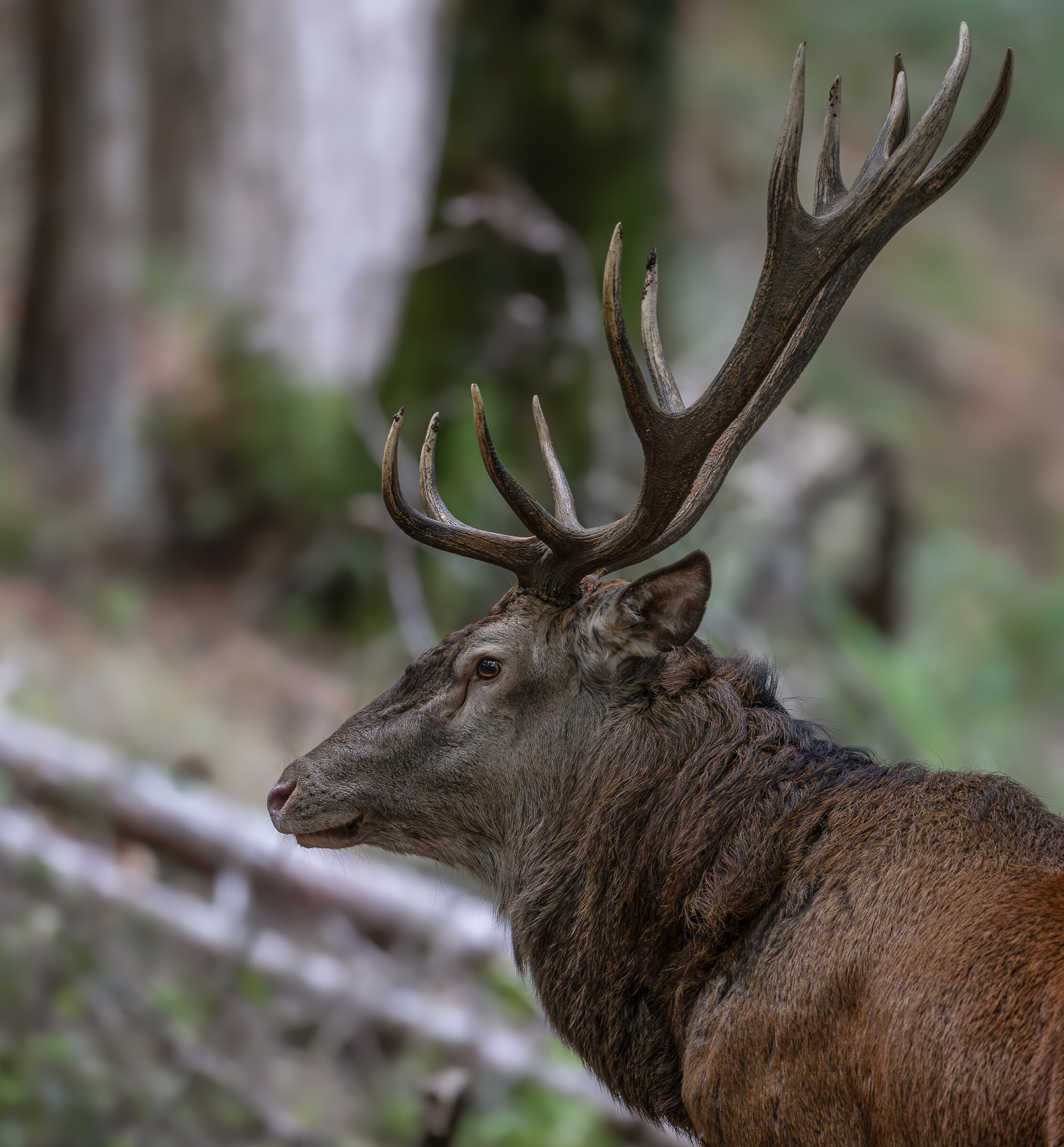 Super close encounter