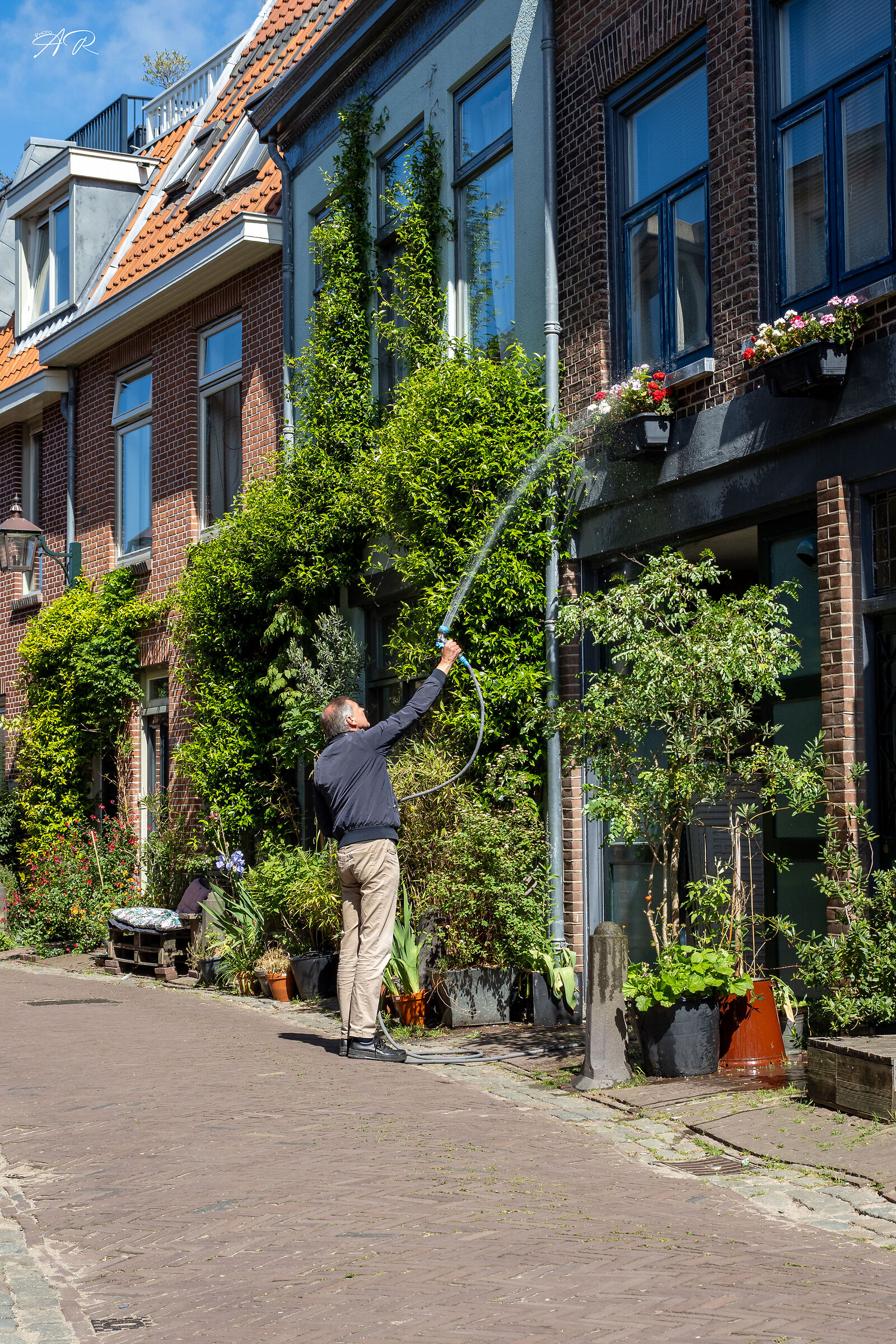 On the streets of Haarlem