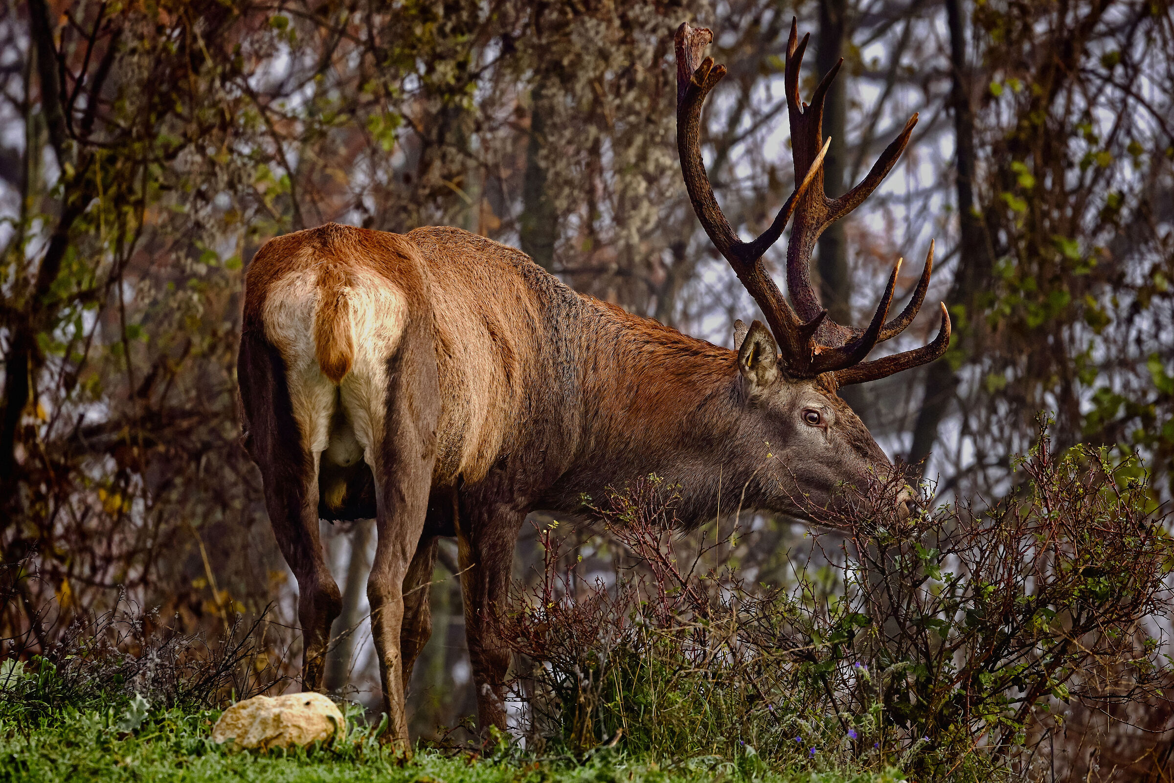 The boss eats alone...