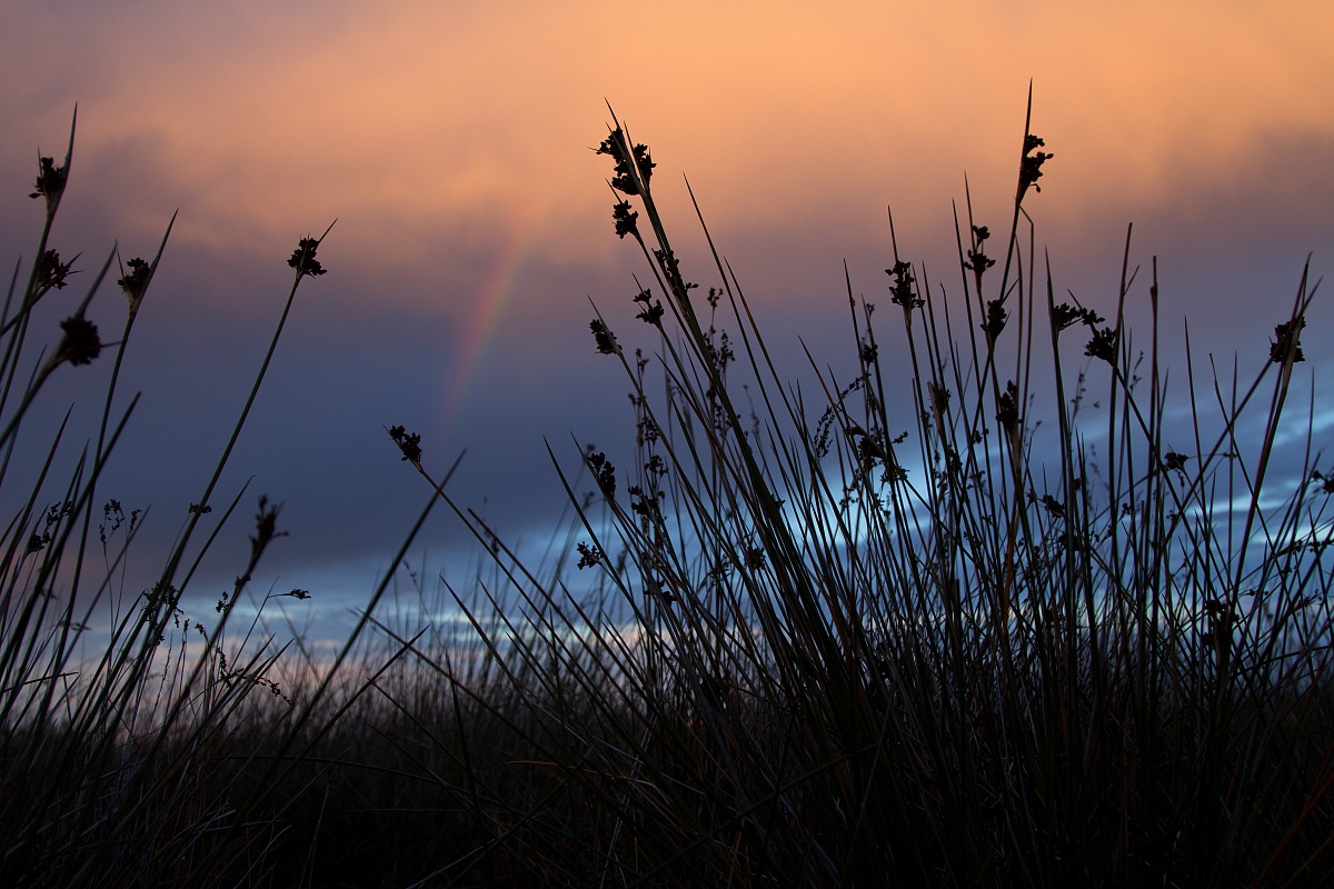 Rainbow on the beach