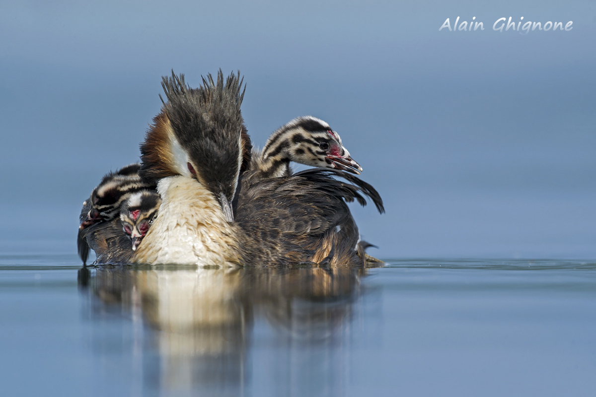c'è chi riposa e chi vuole scoprire il mondo...