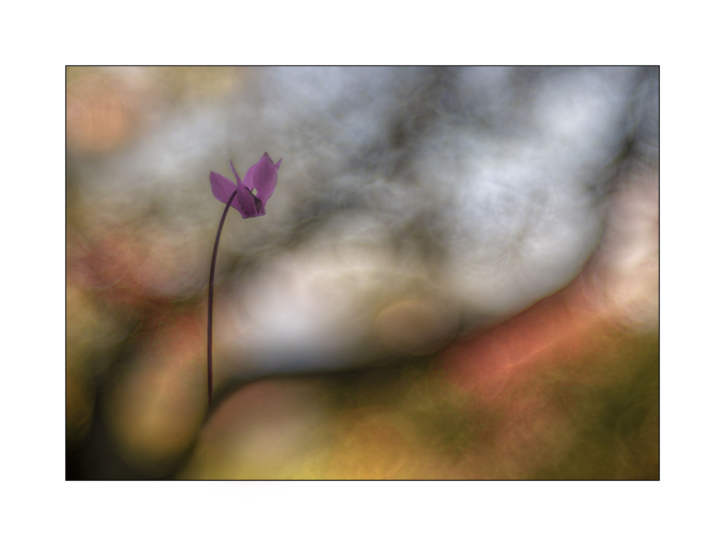 visioni di inizio autunno