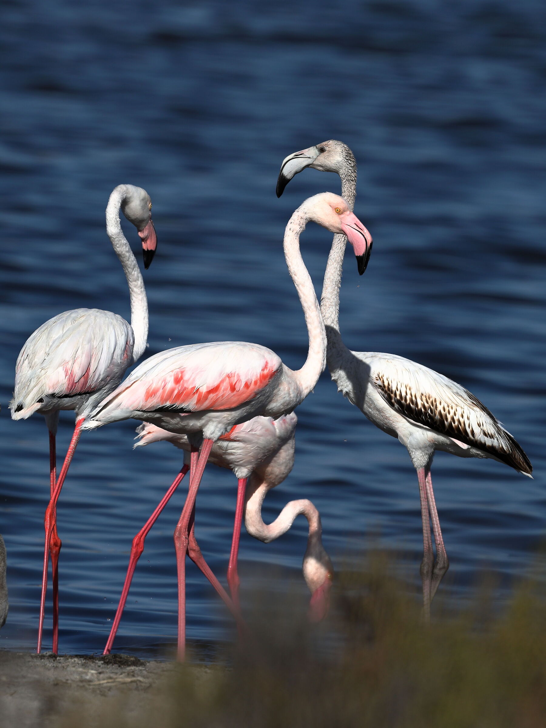Giovani e meno giovani