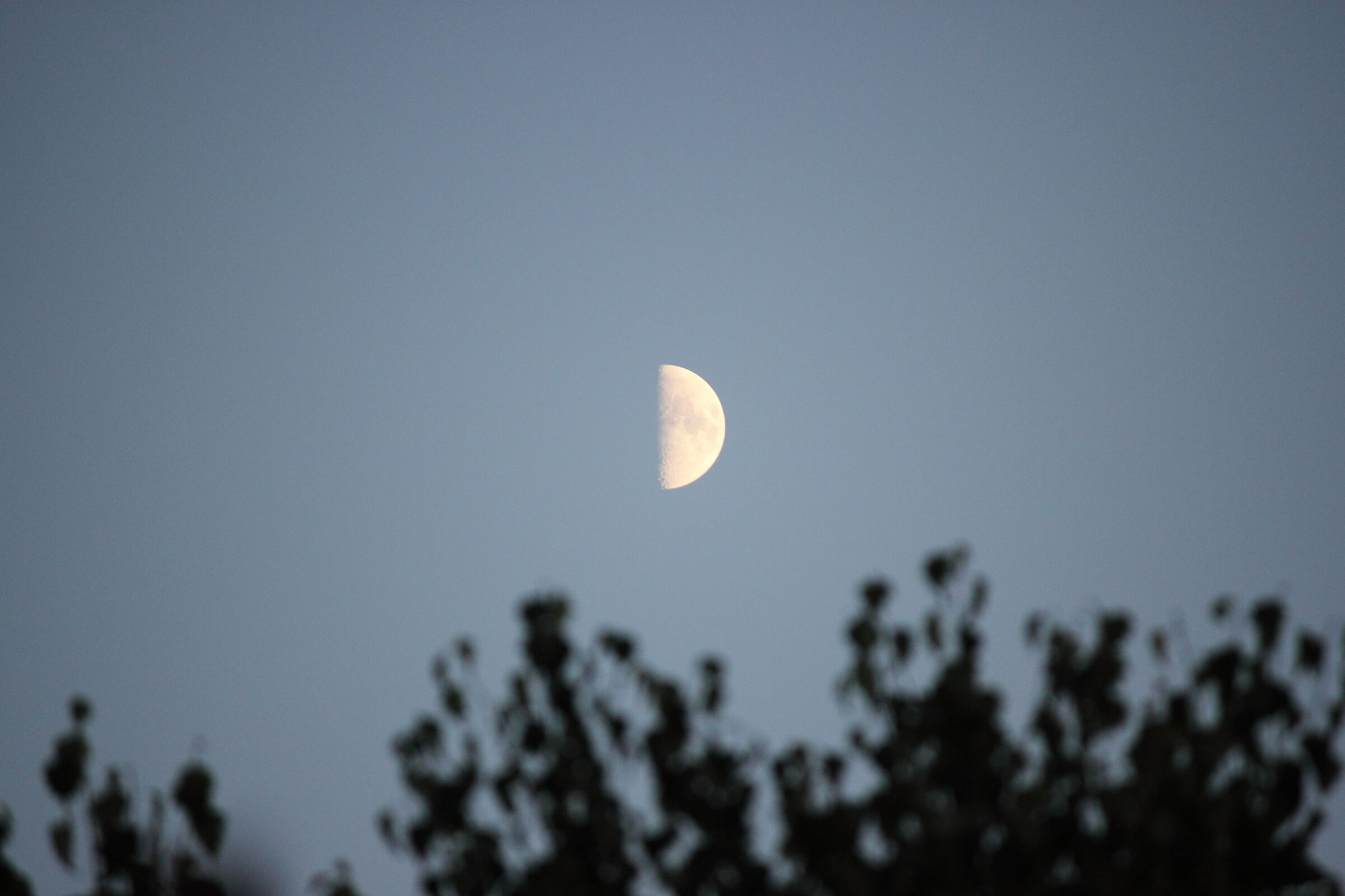 half-moon