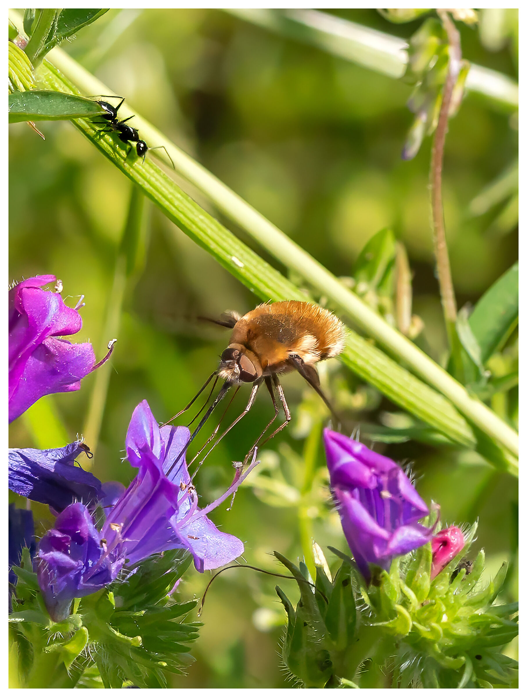 The world of children...