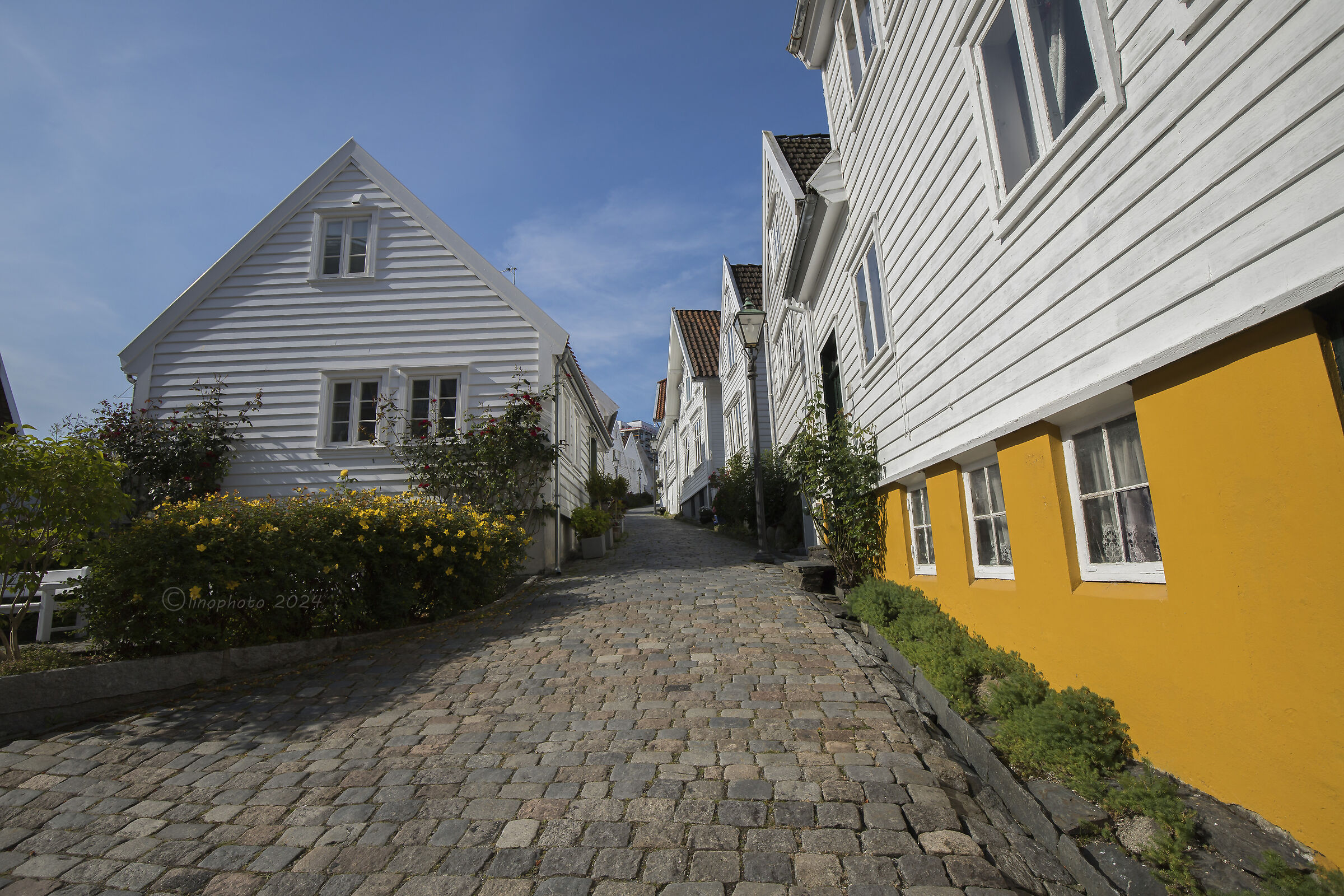 Stavanger (Norvegia)