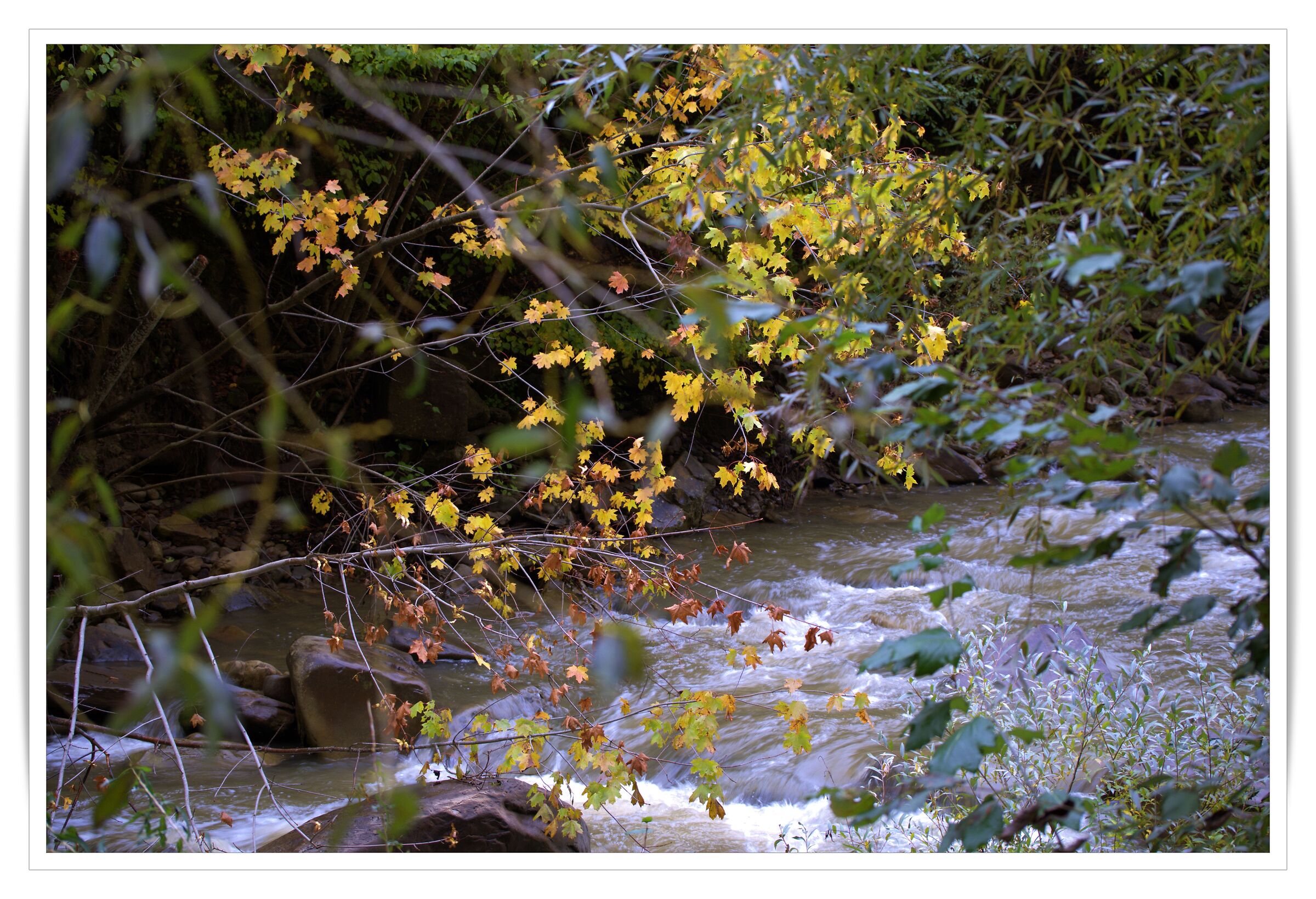 I colori dell'autunno