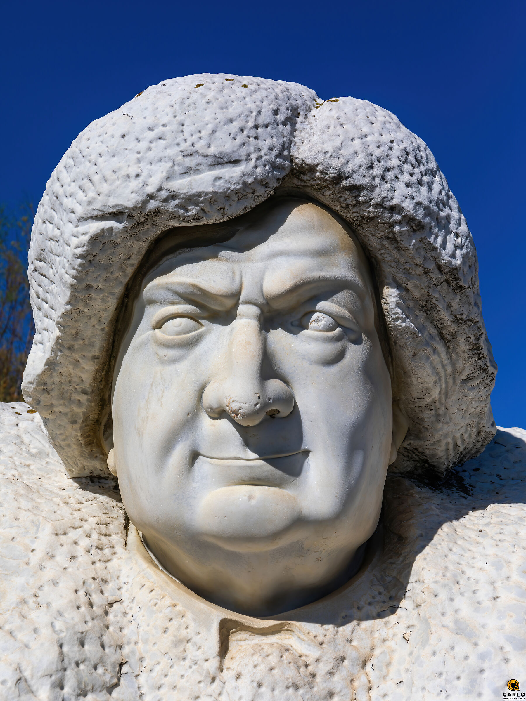 Lorenzo Viani Viareggio