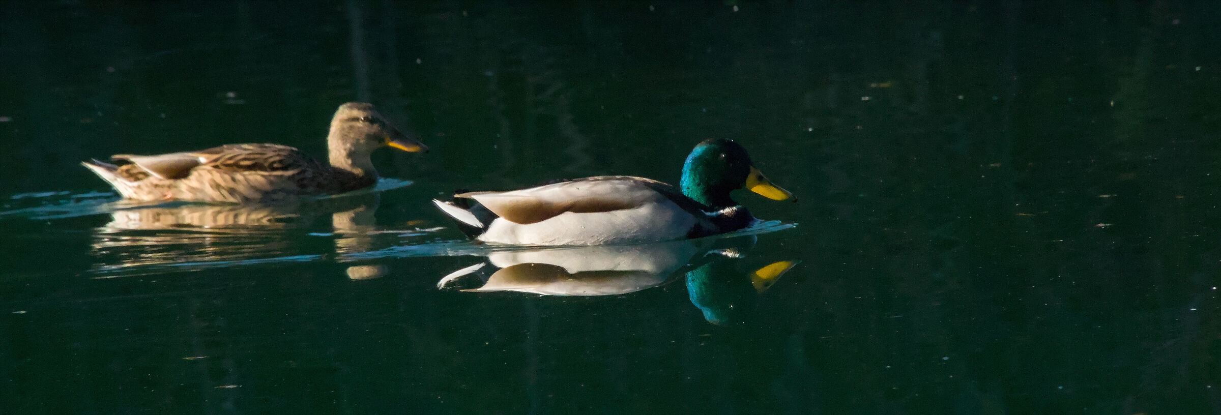A Spasso sotto l'ultimo sole