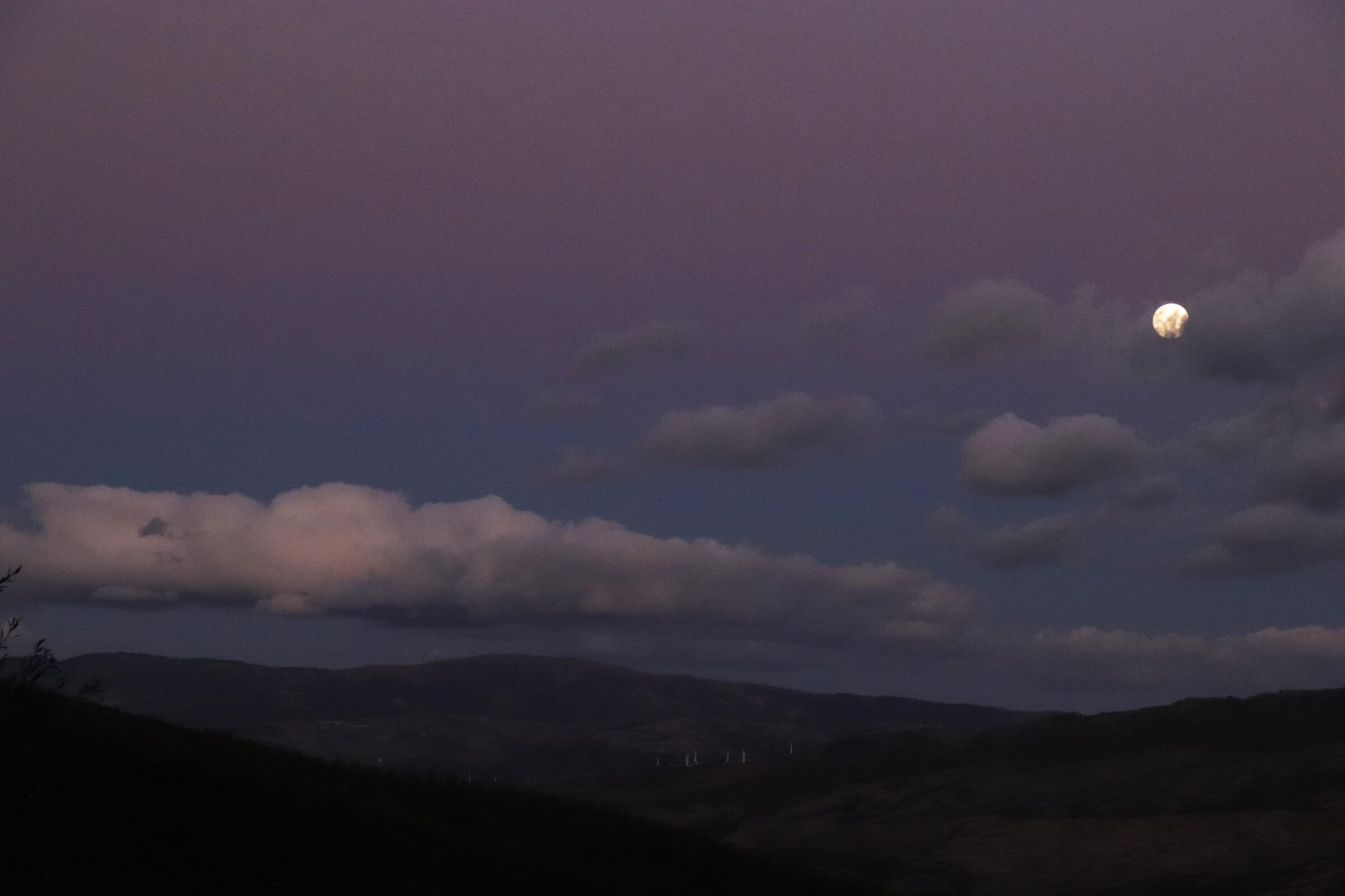 Hurry, dodging the wind