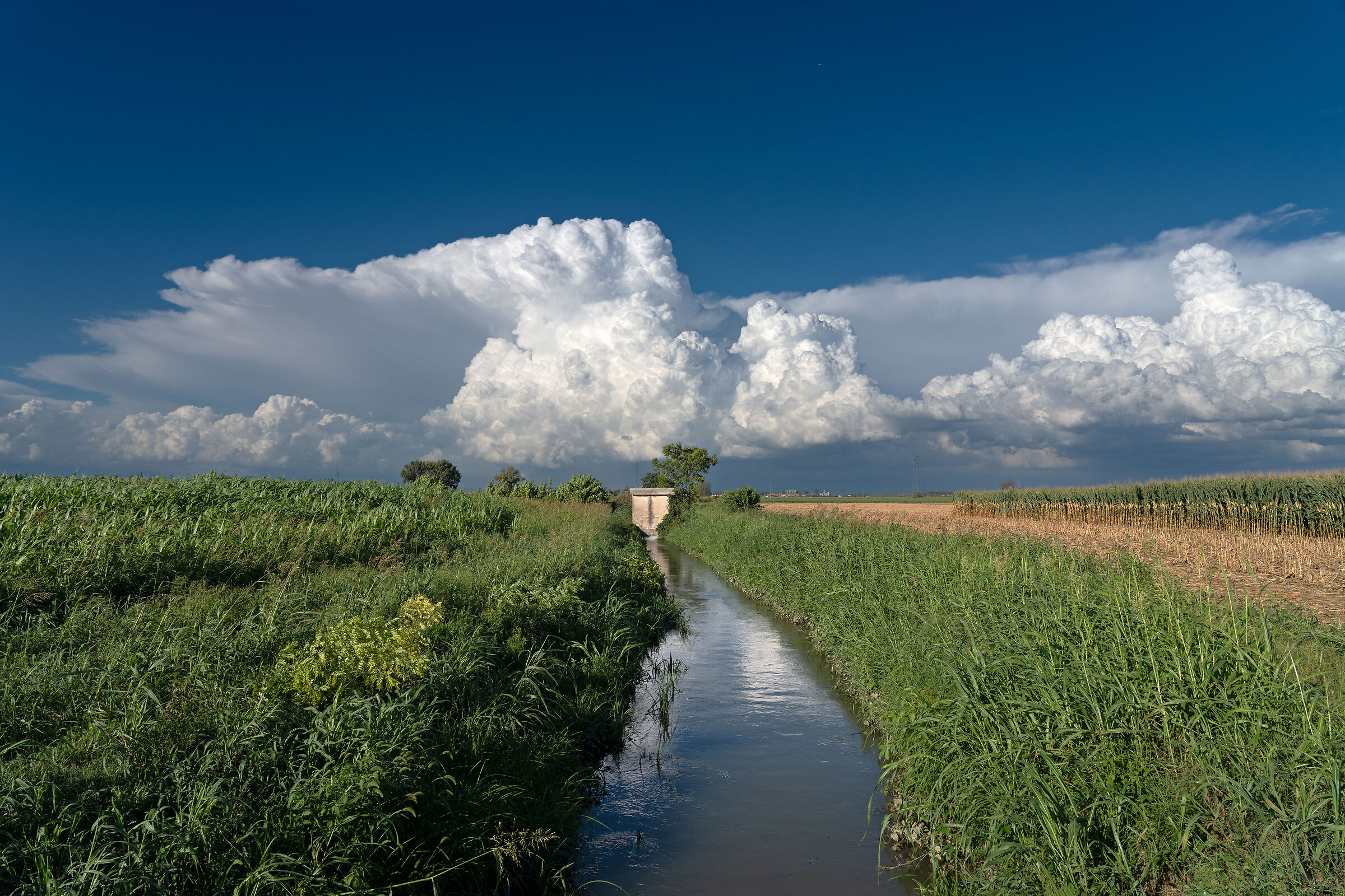 Liquid and gaseous state