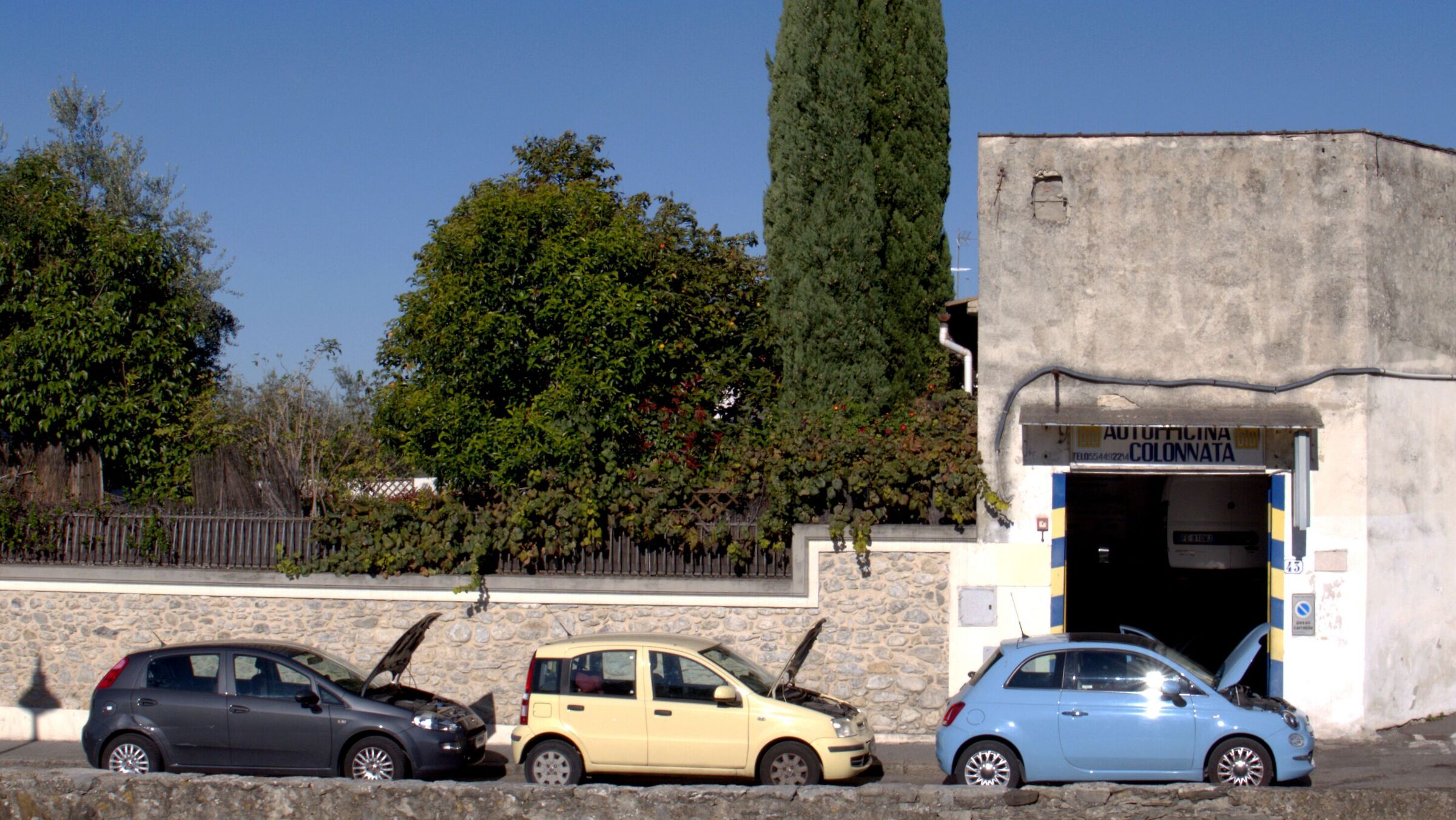 La nidiata