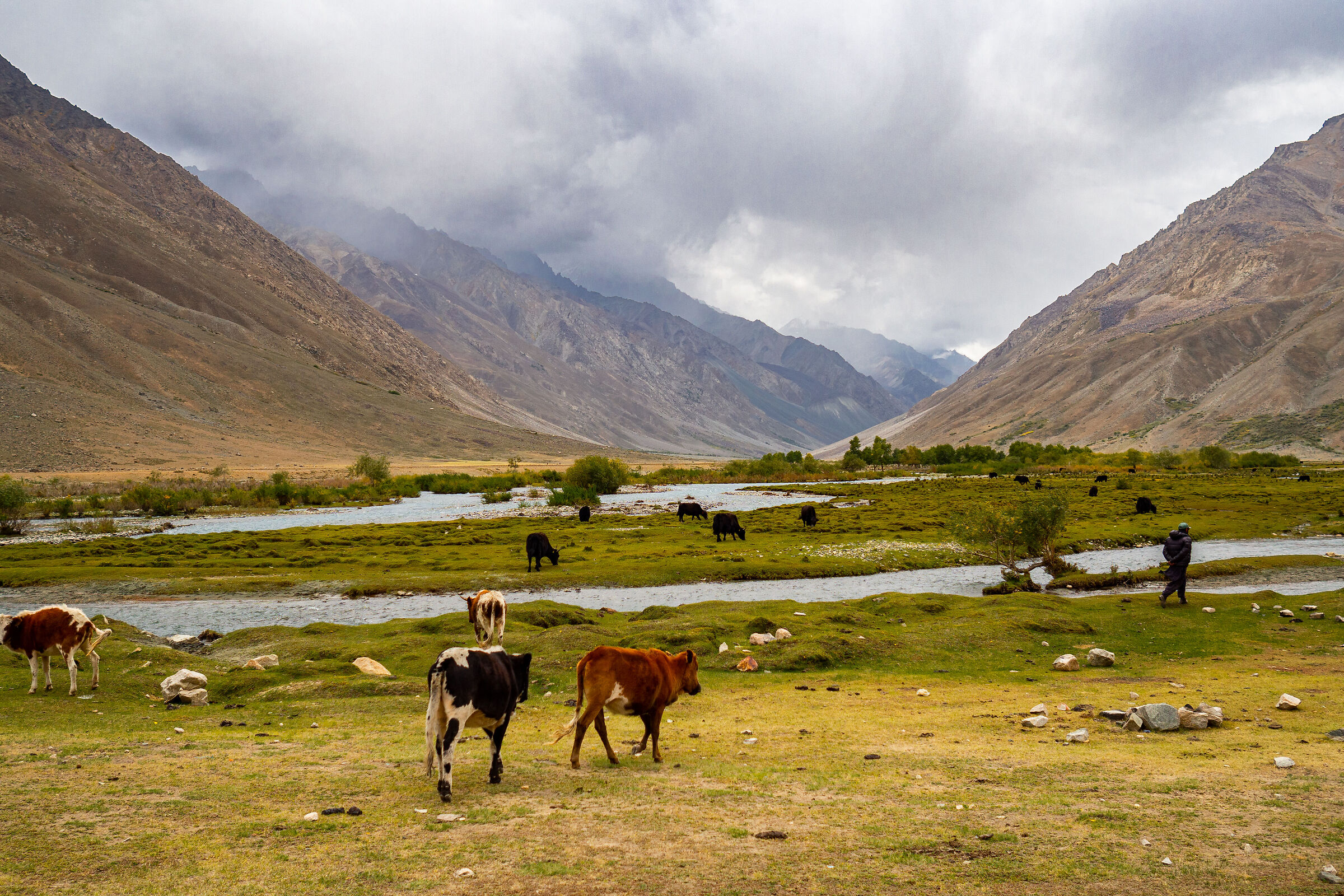 Pakistan - Shandur Pass