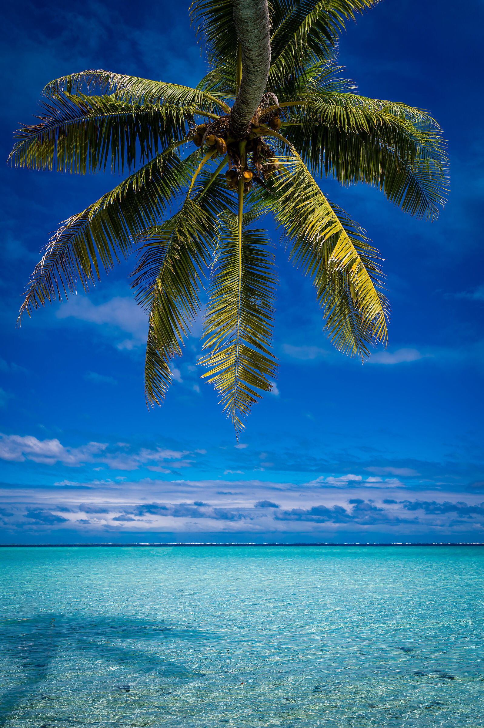 Polynesia 2025 - Maupiti