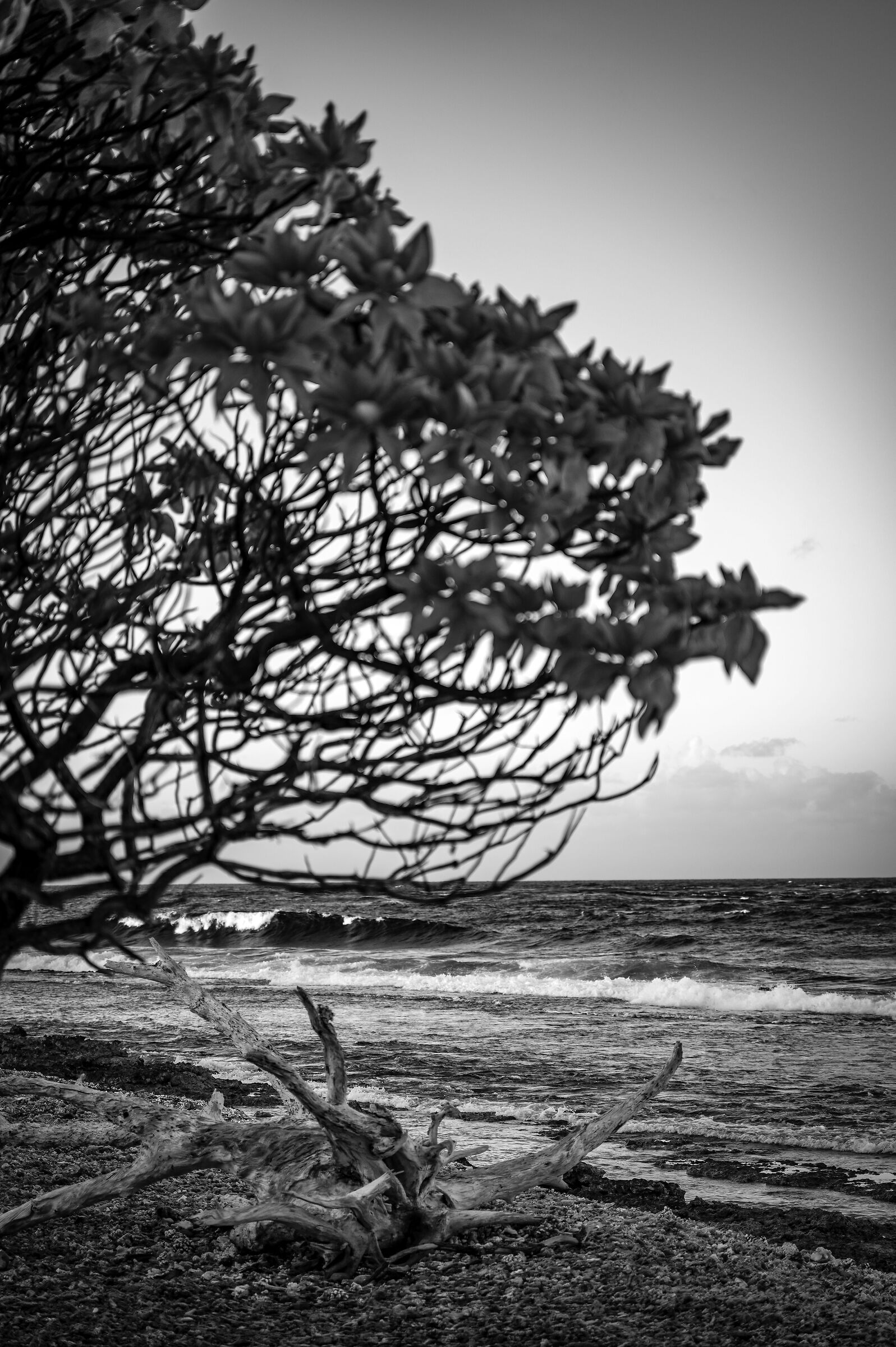 Polinesia 2025 - Rangiroa