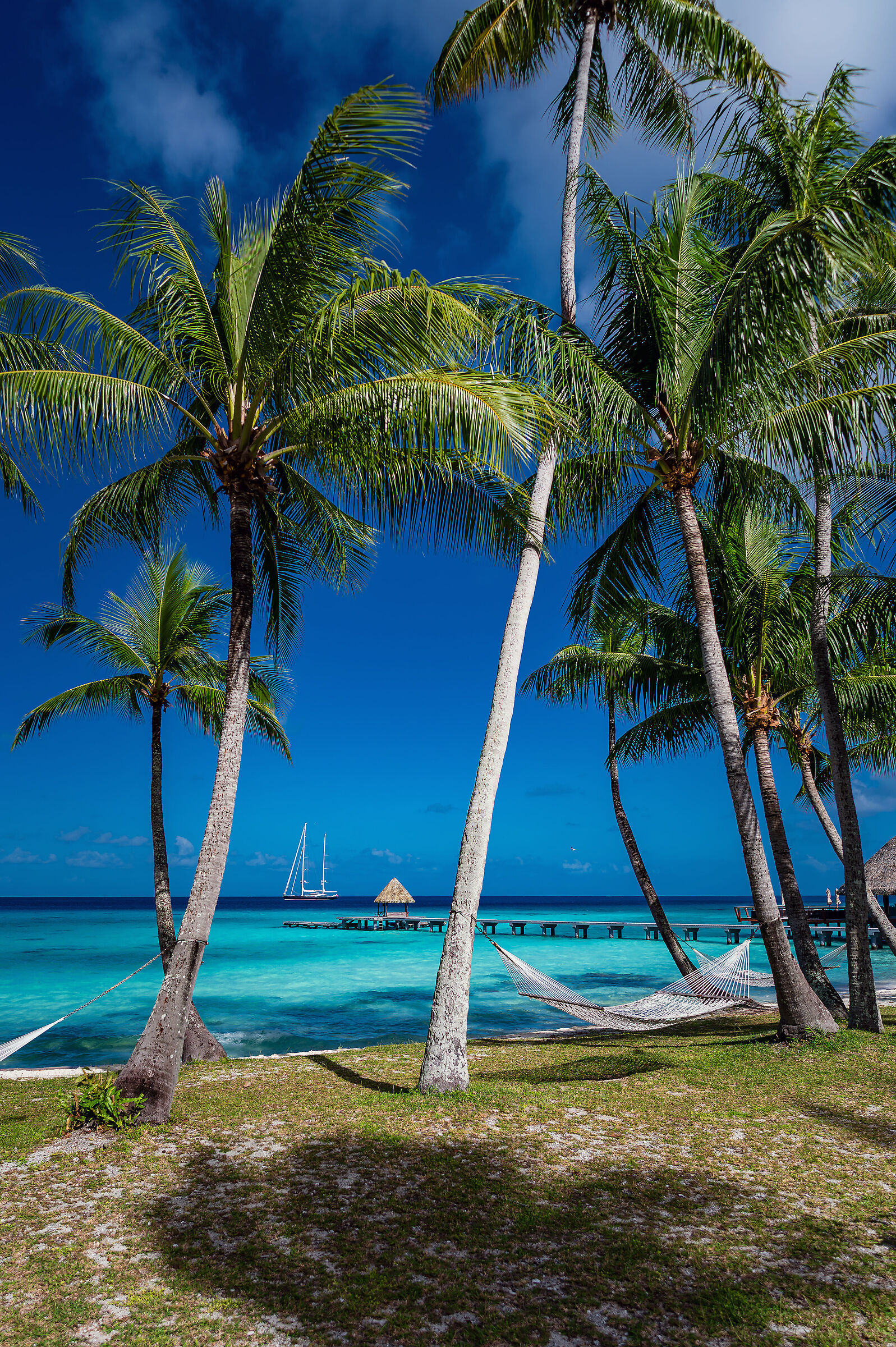 Polinesia 2025 - Rangiroa