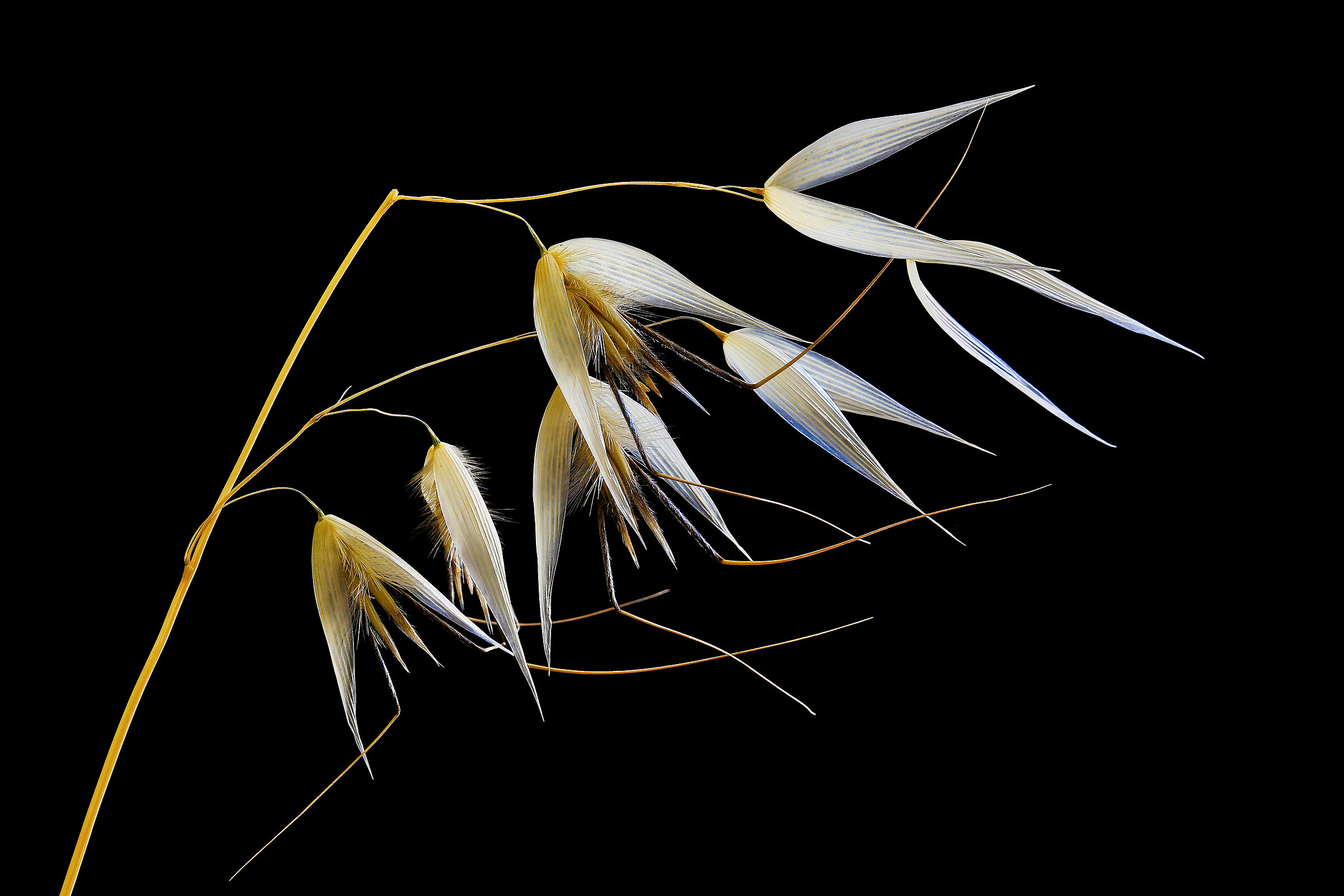 Quel che resta dell'estate