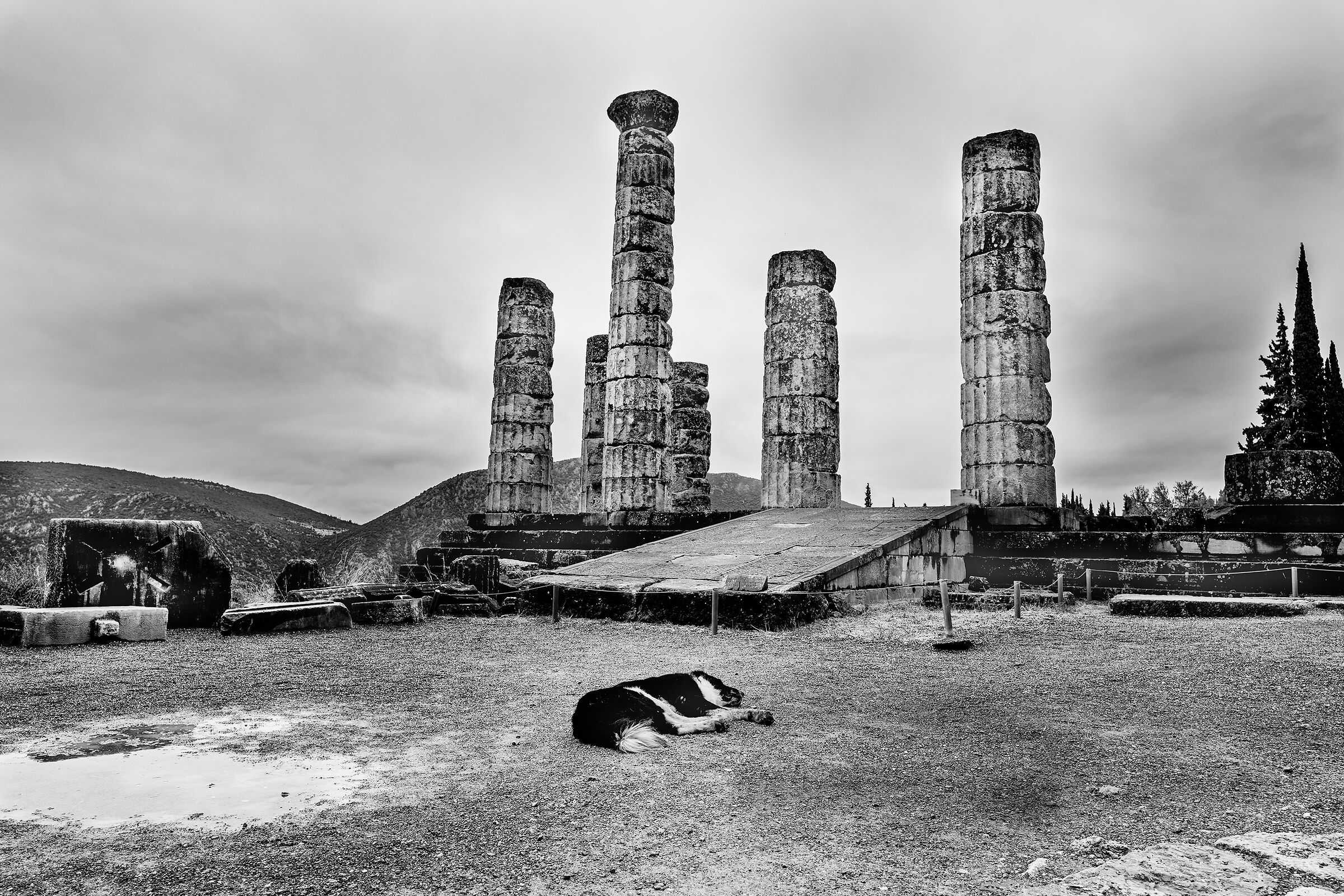 Level of interest in classical culture today...