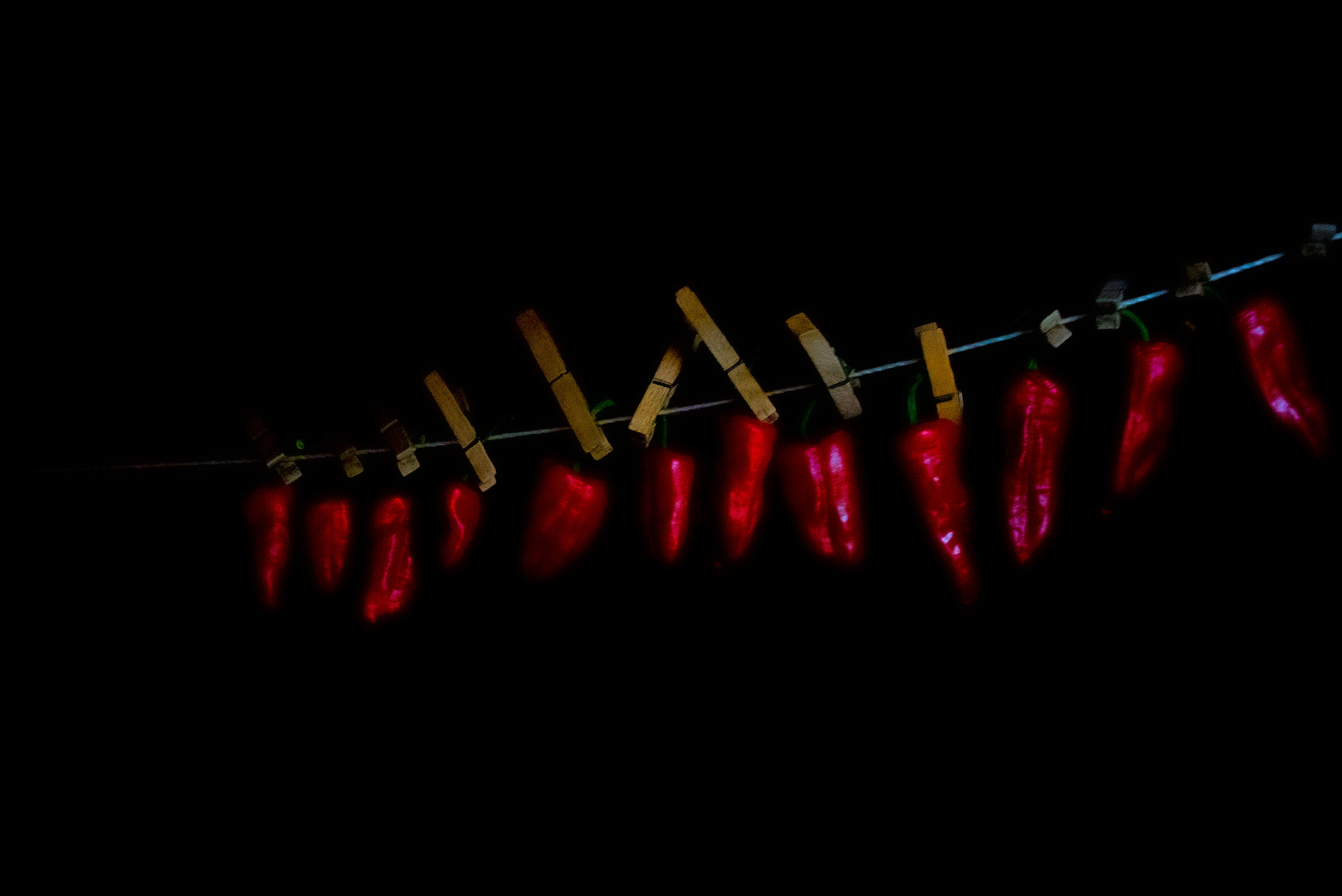 Untitled Photo