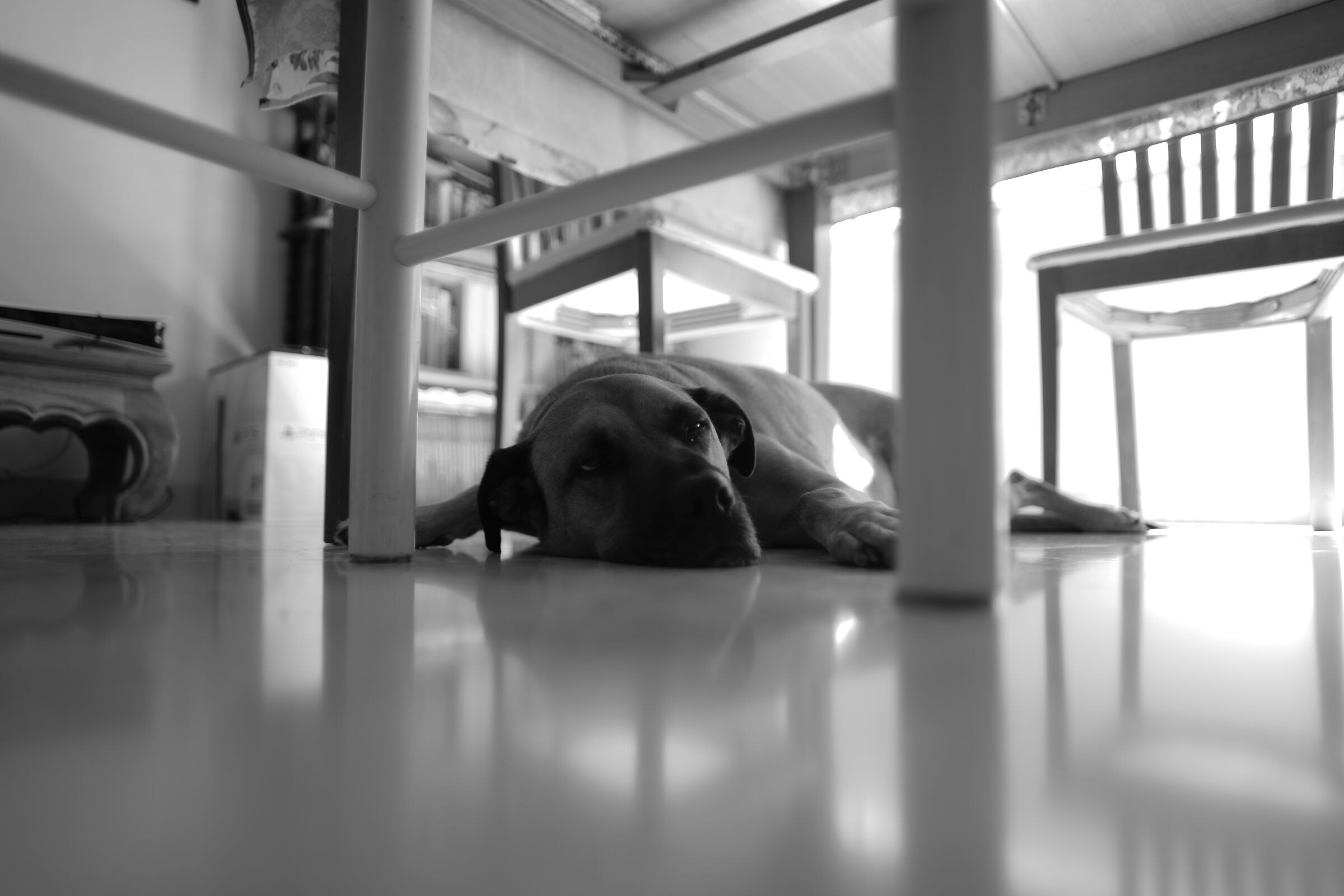 TRY TTARTISON LENS 21MM F1.5