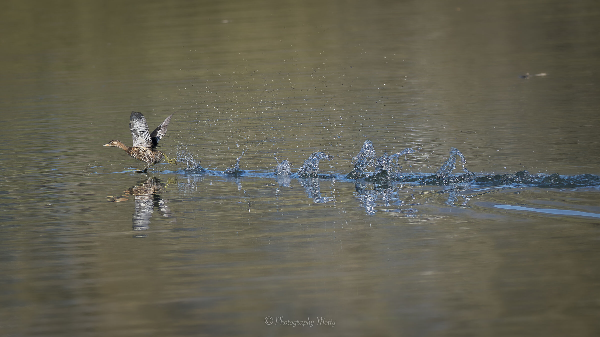 Passi lunghi ben distesi ...