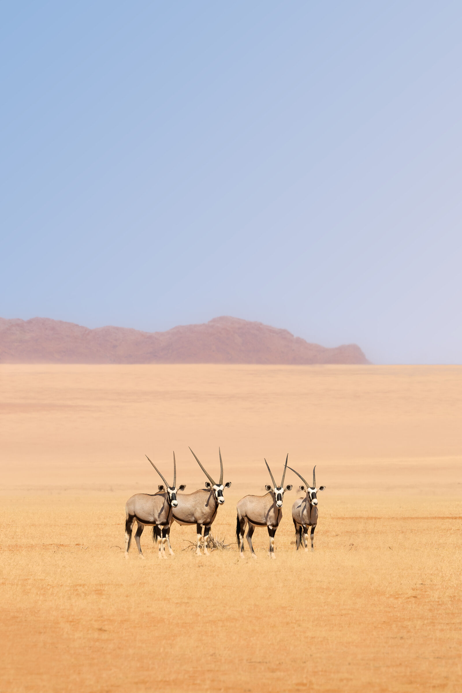 Deprived in the desert